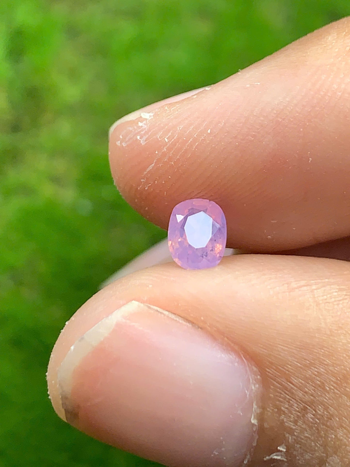 Natural Sapphire VietNam 08082504