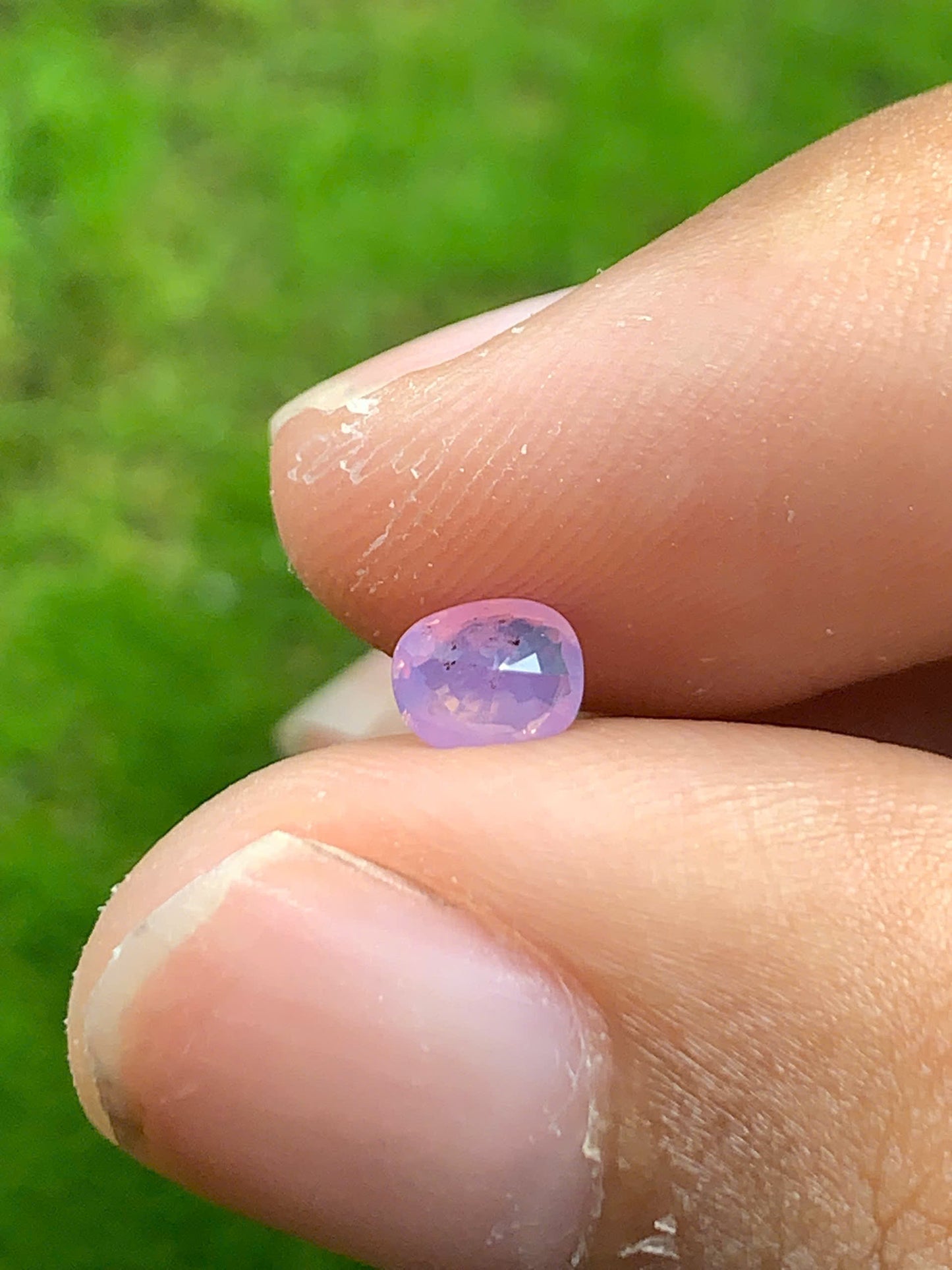 Natural Sapphire VietNam 08082504
