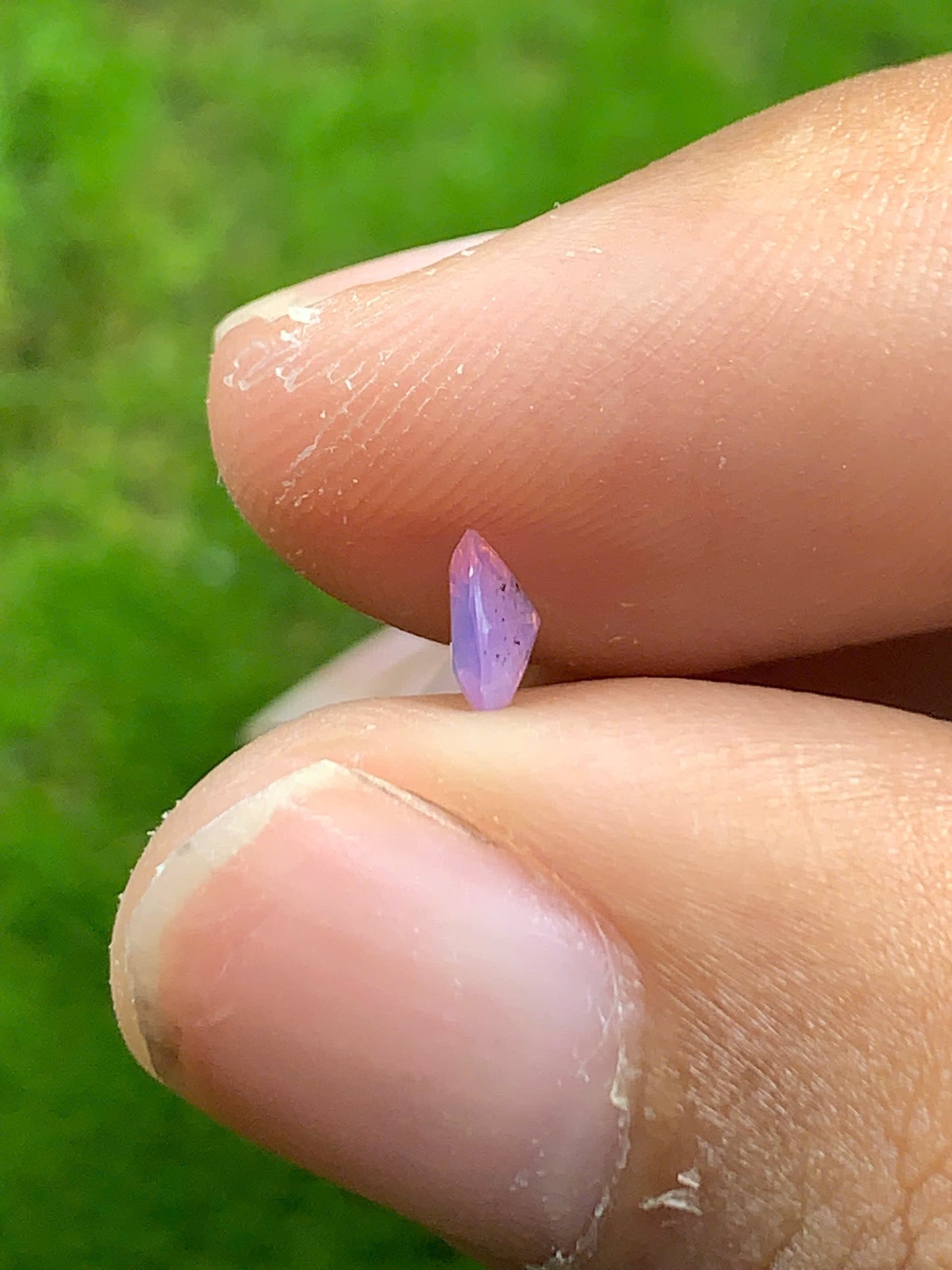 Natural Sapphire VietNam 08082504