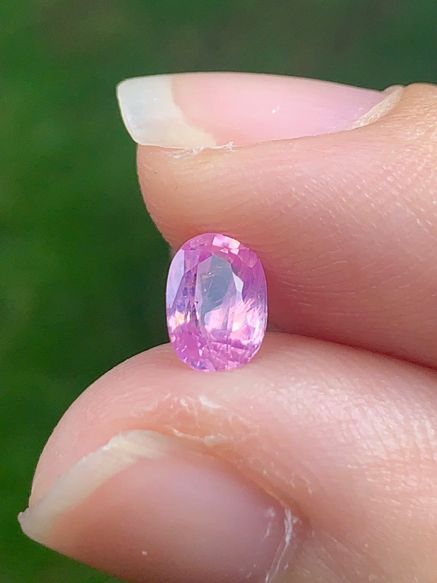 Natural Sapphire VietNam 14082530