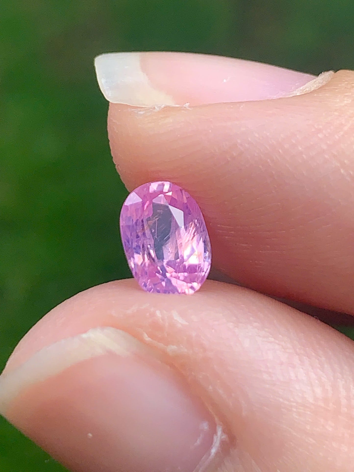 Natural Sapphire VietNam 14082530