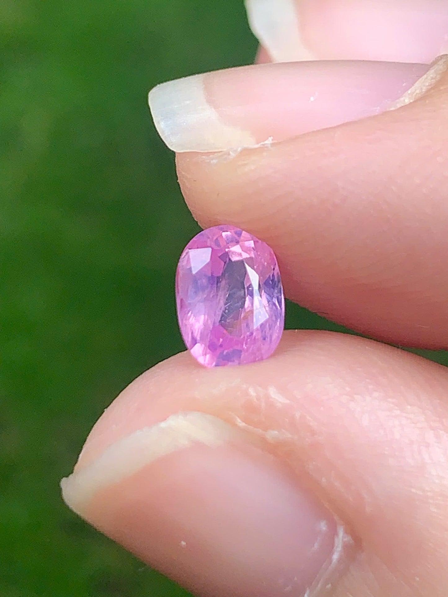 Natural Sapphire VietNam 14082530