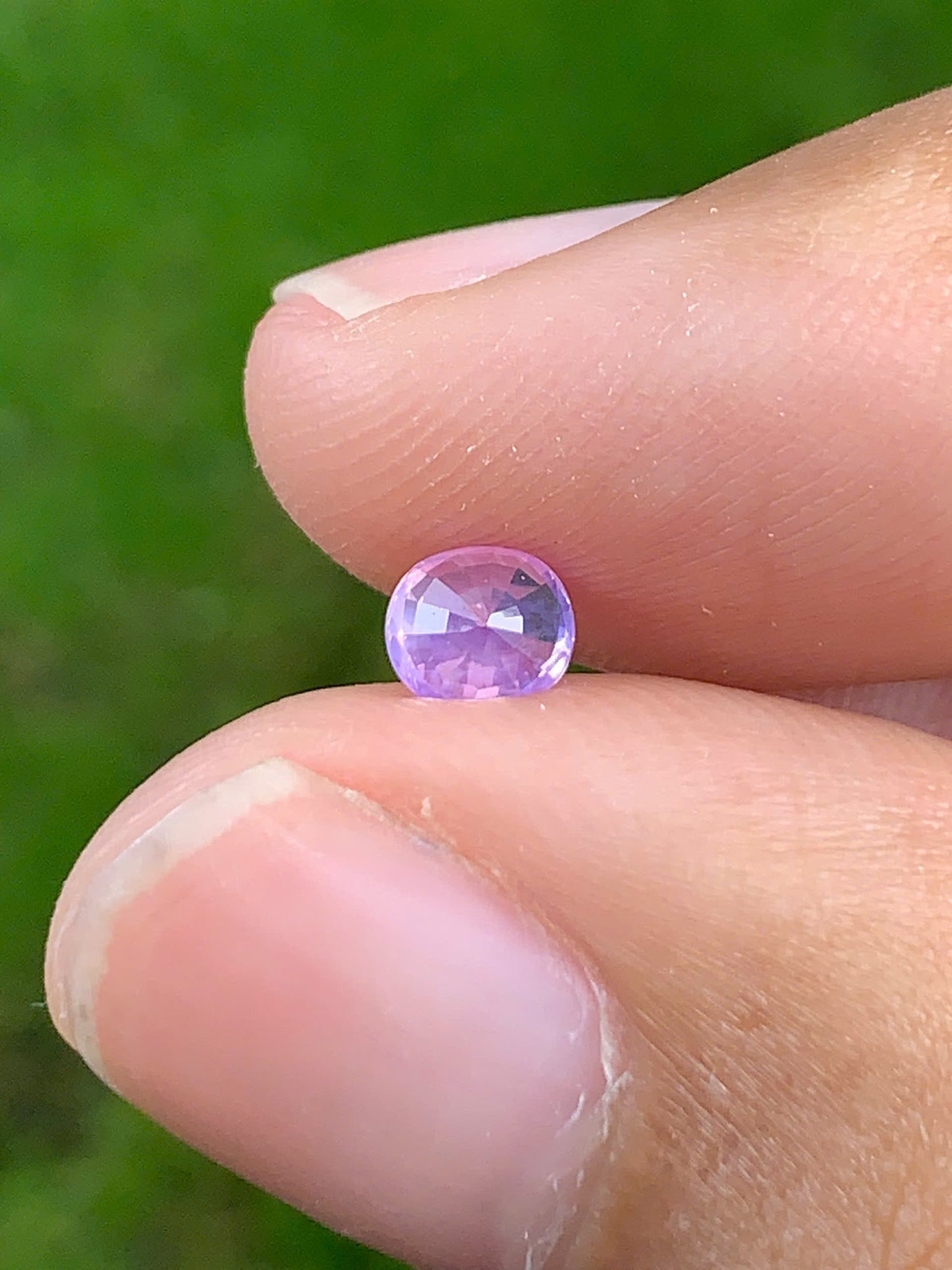 Silky Sapphire VietNam 18082506