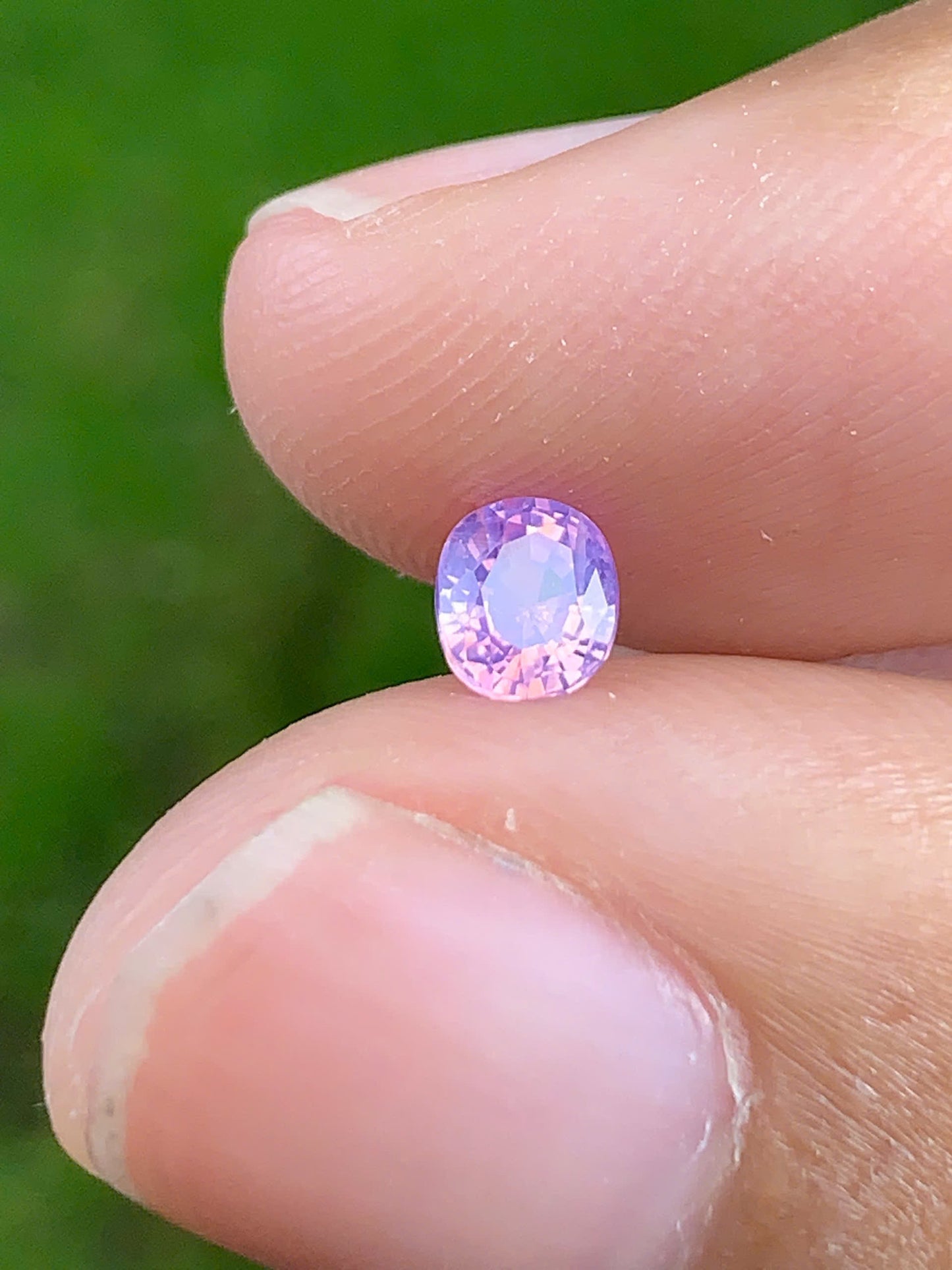Silky Sapphire VietNam 18082506