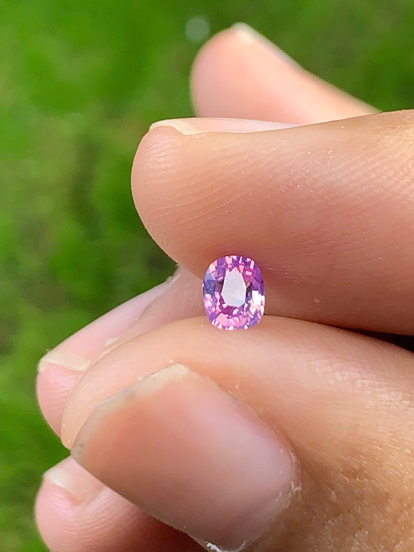 Silky Sapphire VietNam 18082508