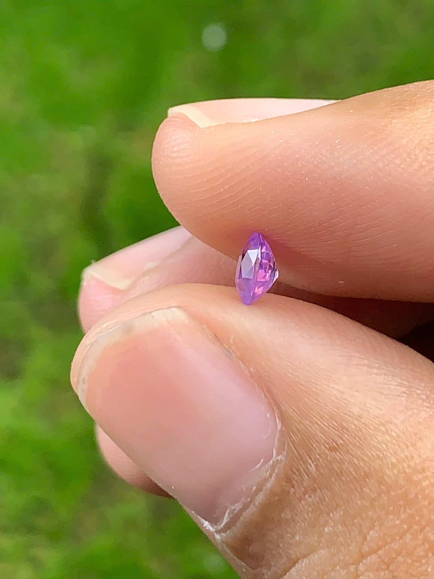 Silky Sapphire VietNam 18082508