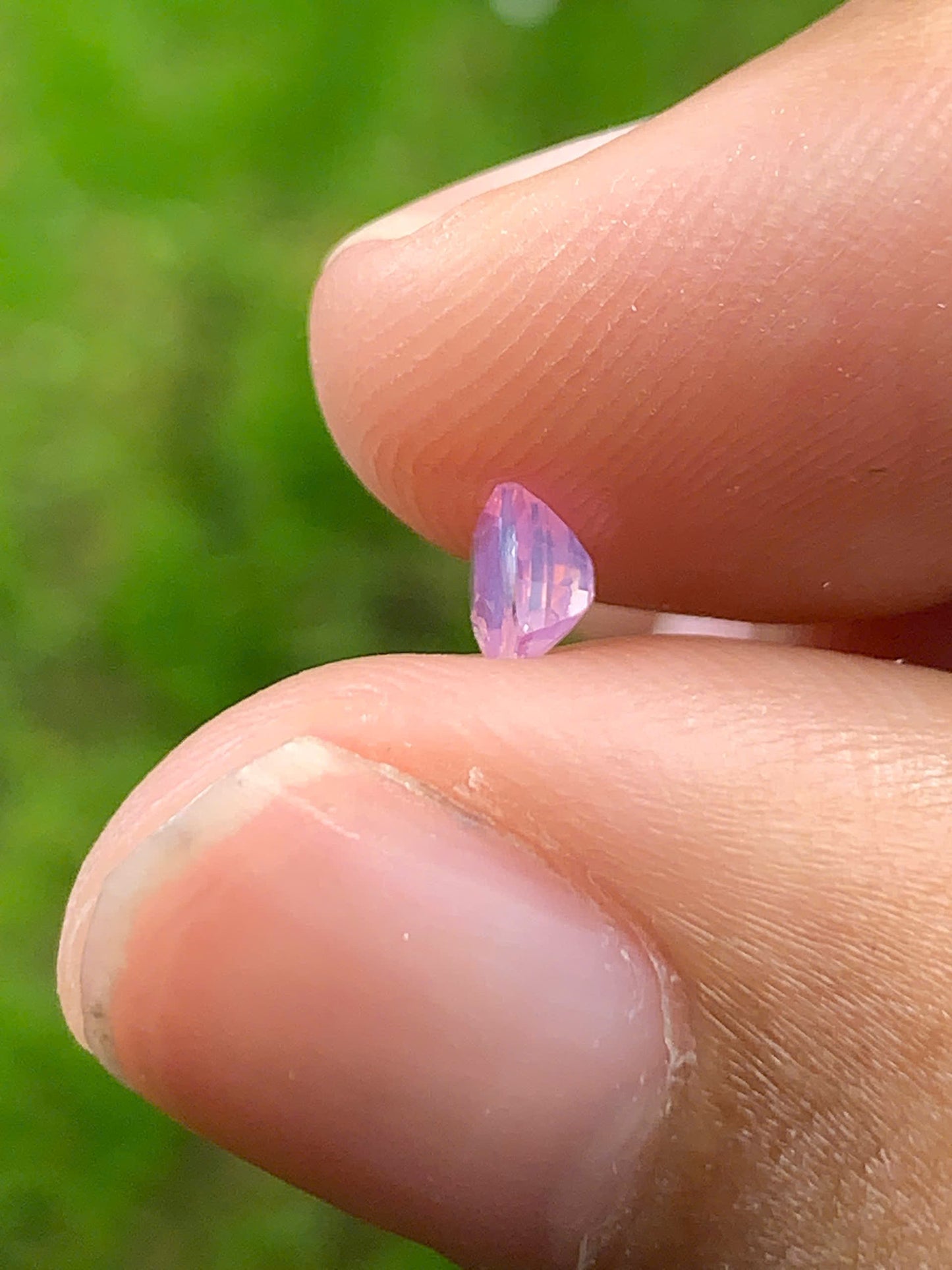 Silky Sapphire VietNam 18082515
