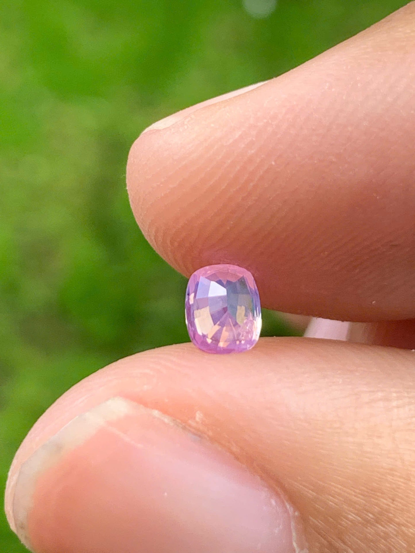 Silky Sapphire VietNam 18082515