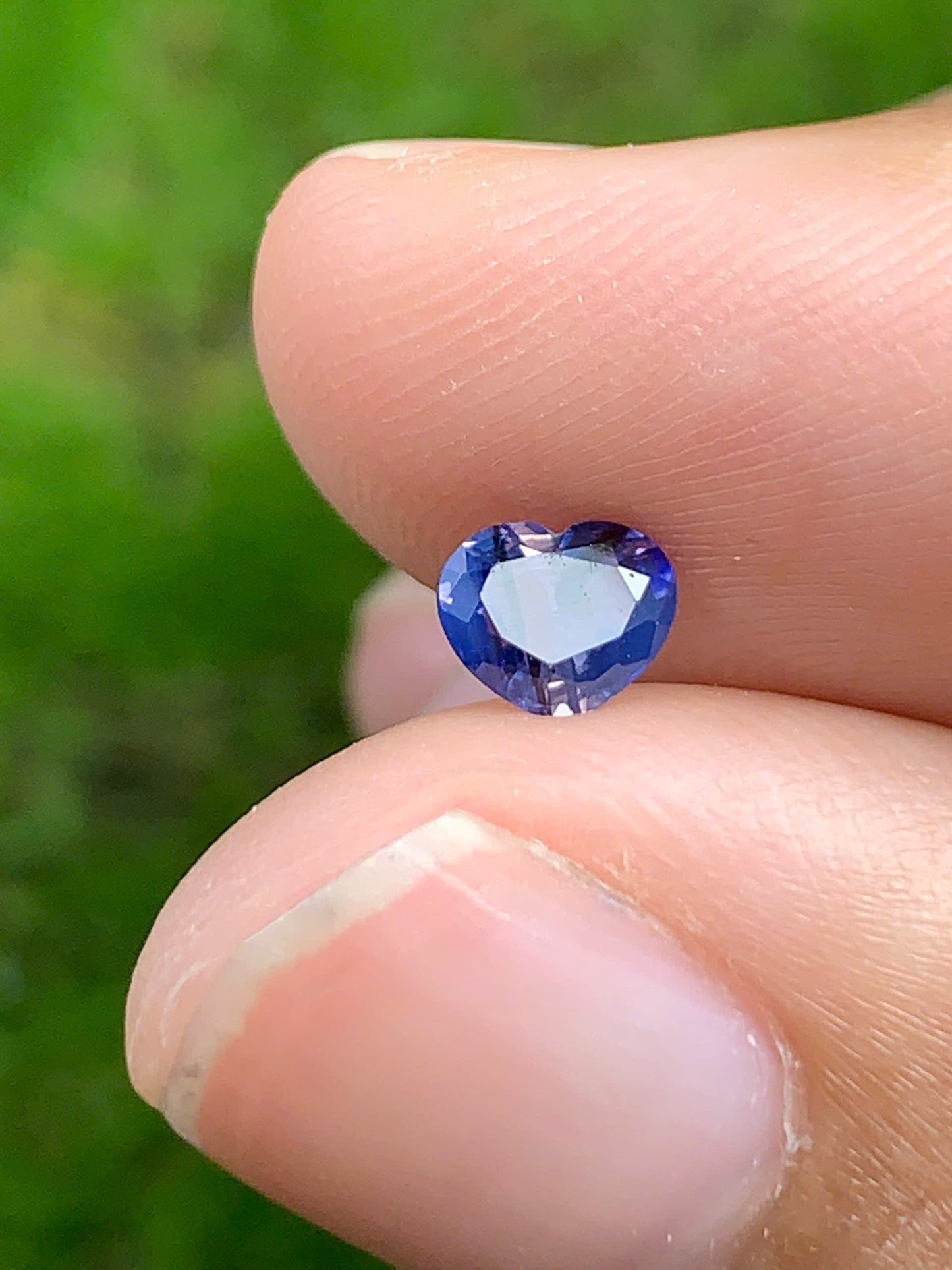 Blue Sapphire VietNam 18082516
