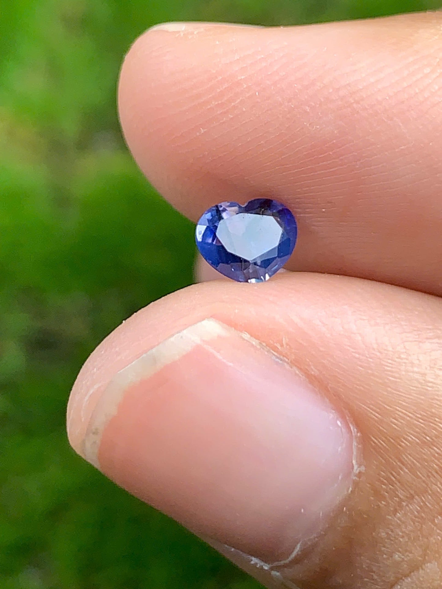 Blue Sapphire VietNam 18082516