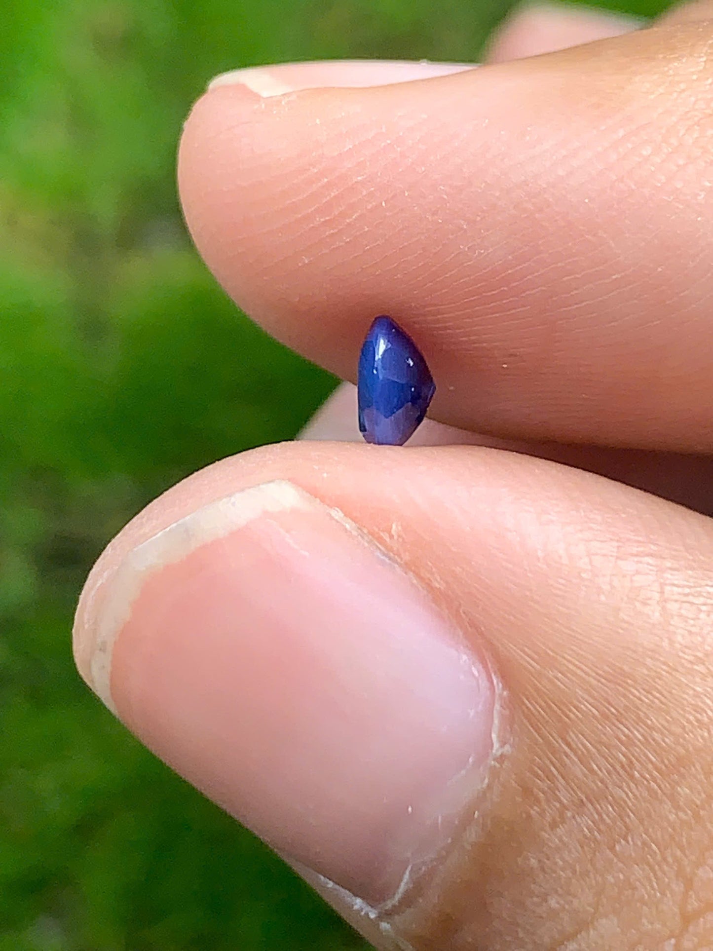 Blue Sapphire VietNam 18082516