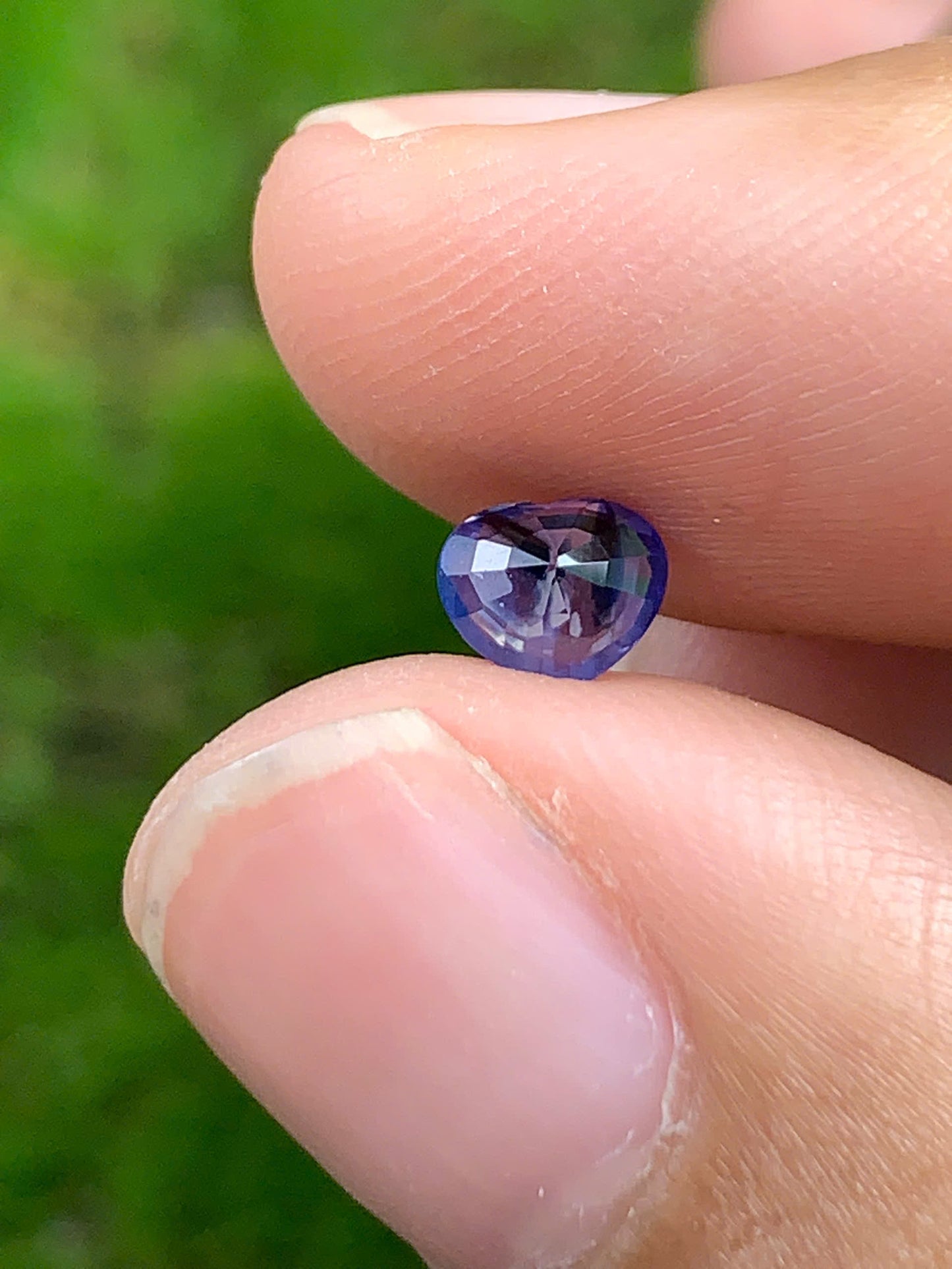 Blue Sapphire VietNam 18082516