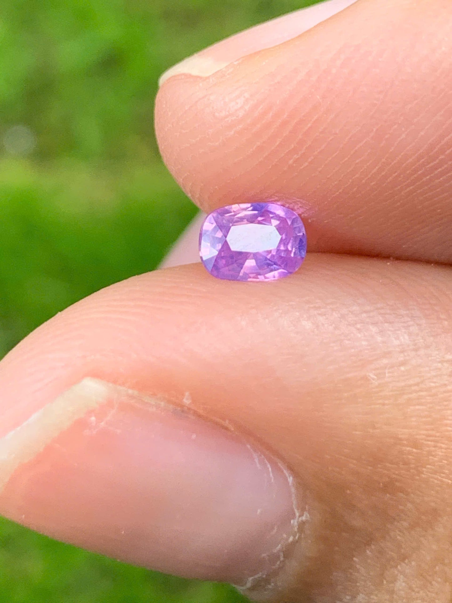 Natural Sapphire VietNam 19082519