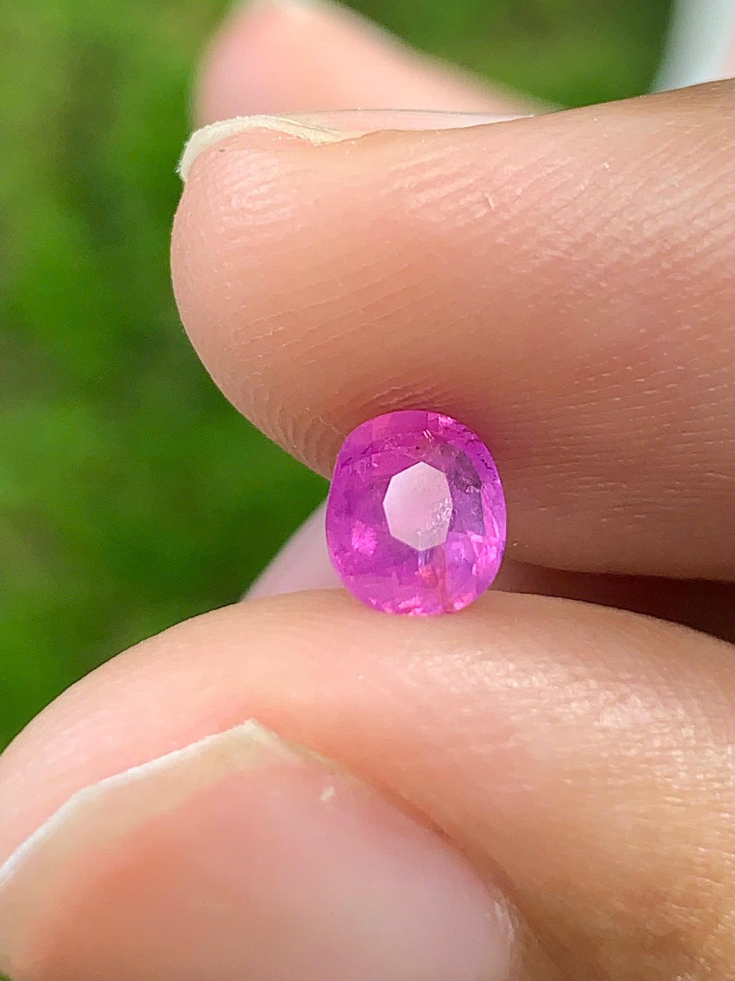 Natural Sapphire VietNam 26082501