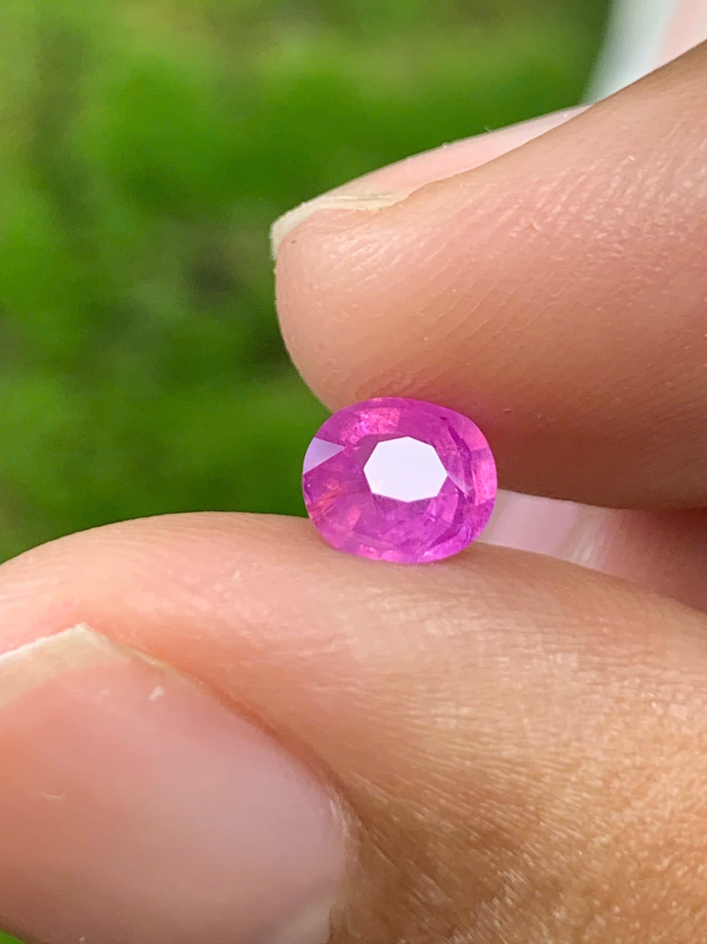 Natural Sapphire VietNam 26082501