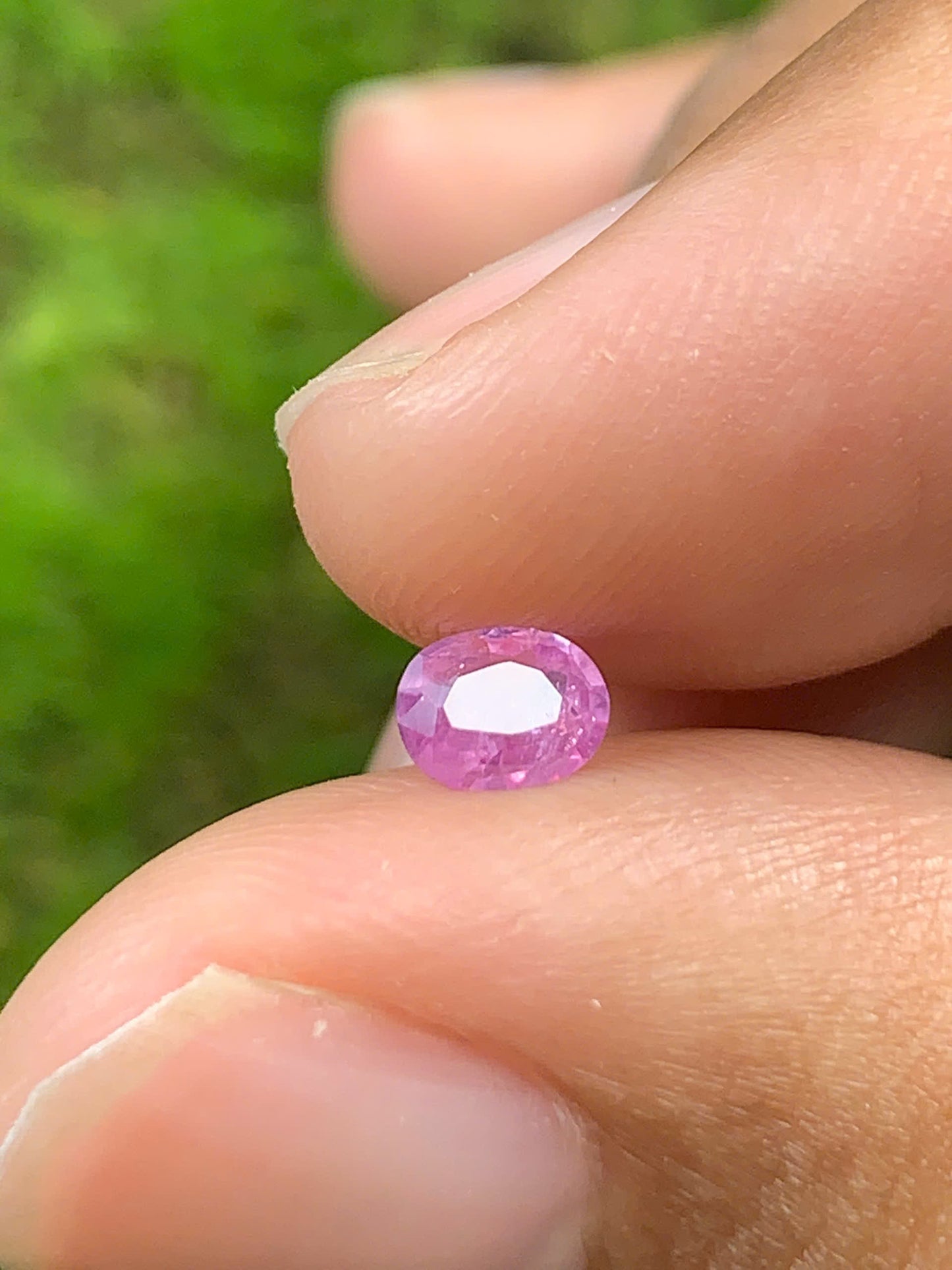 Natural Sapphire VietNam 26082502