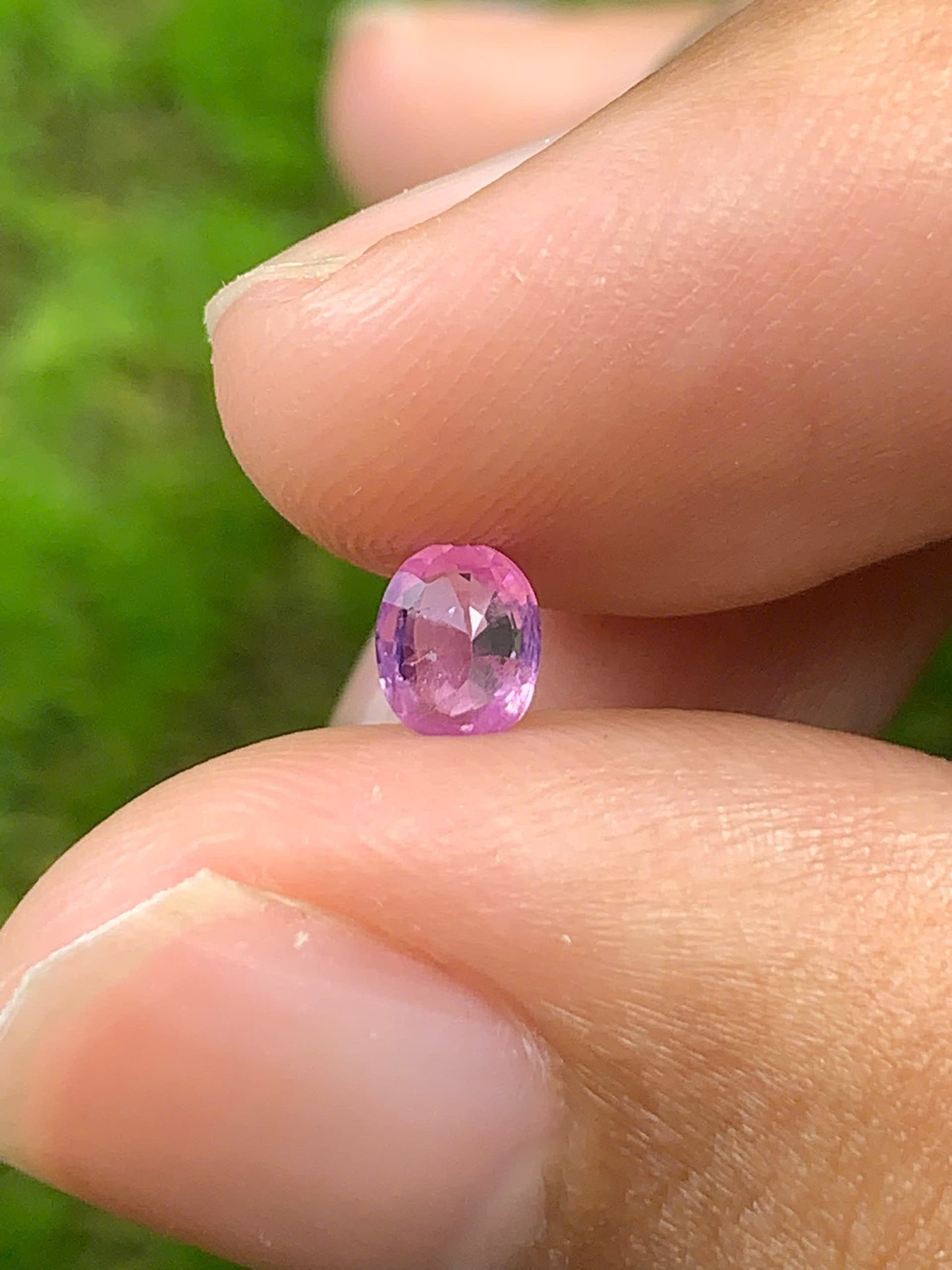 Natural Sapphire VietNam 26082502