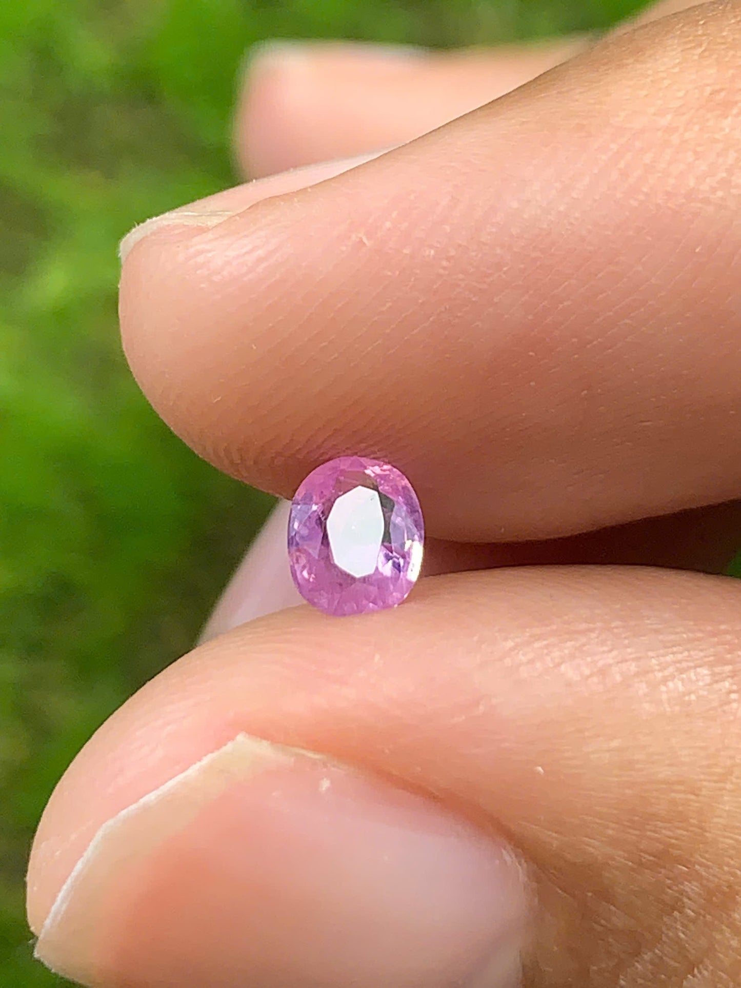 Natural Sapphire VietNam 26082502