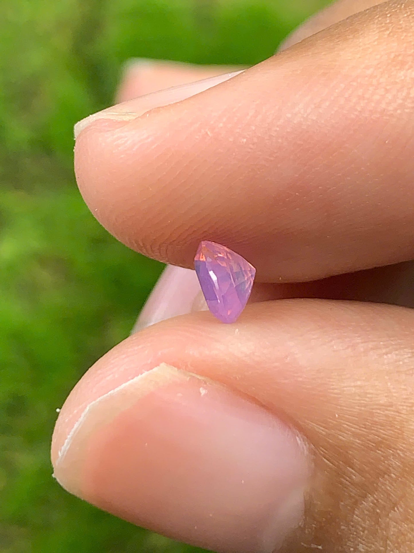 Natural Sapphire VietNam 26082505
