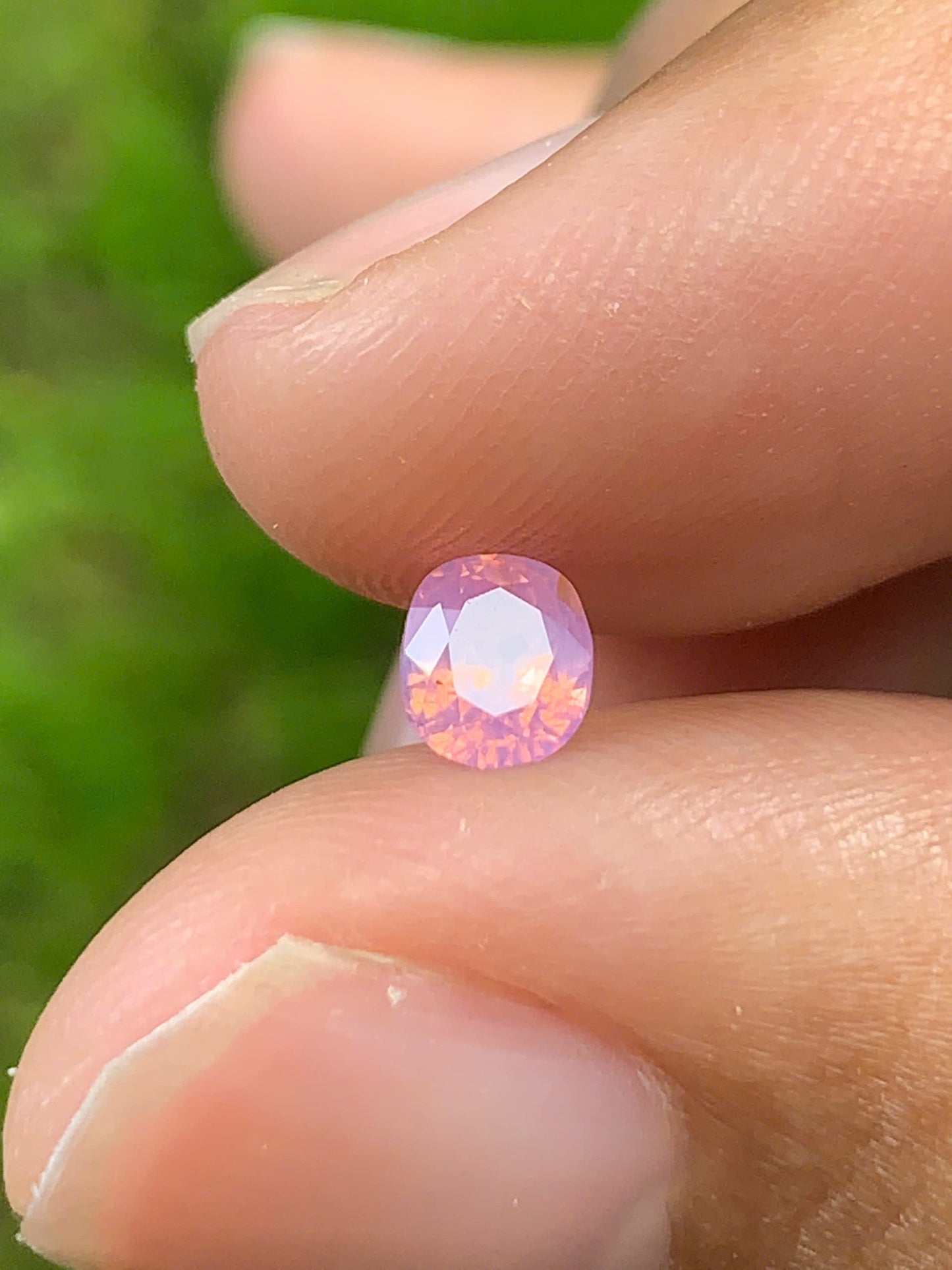 Natural Sapphire VietNam 26082505