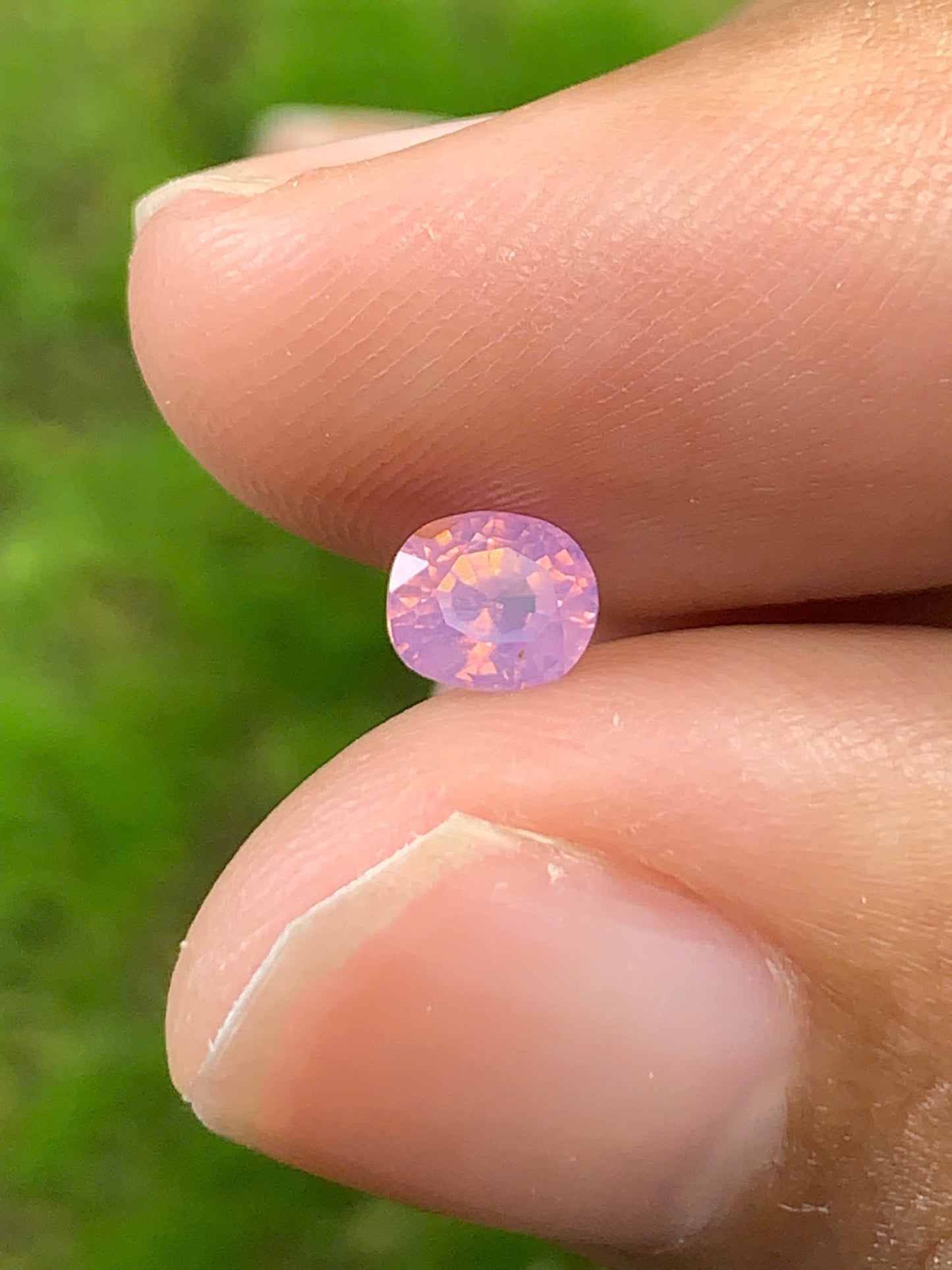 Natural Sapphire VietNam 26082505