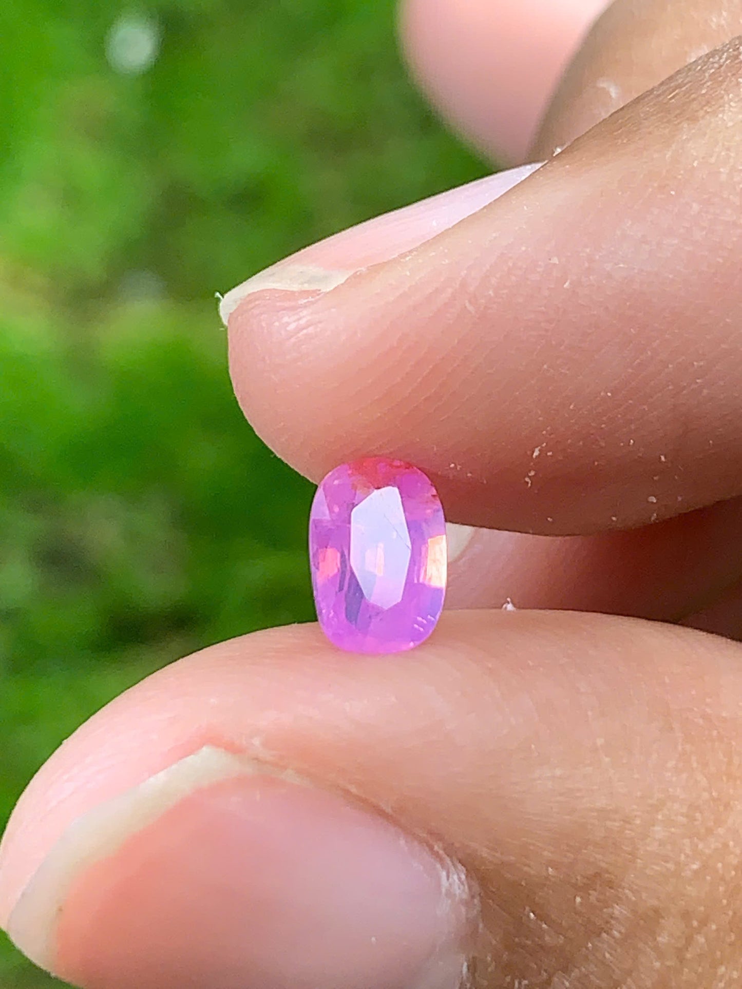 Natural Sapphire VietNam 28082526