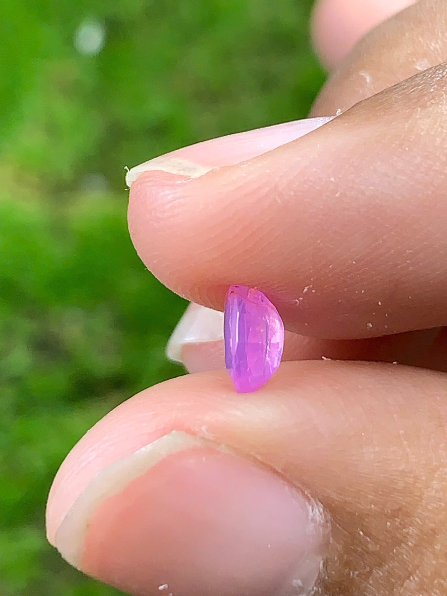 Natural Sapphire VietNam 28082526