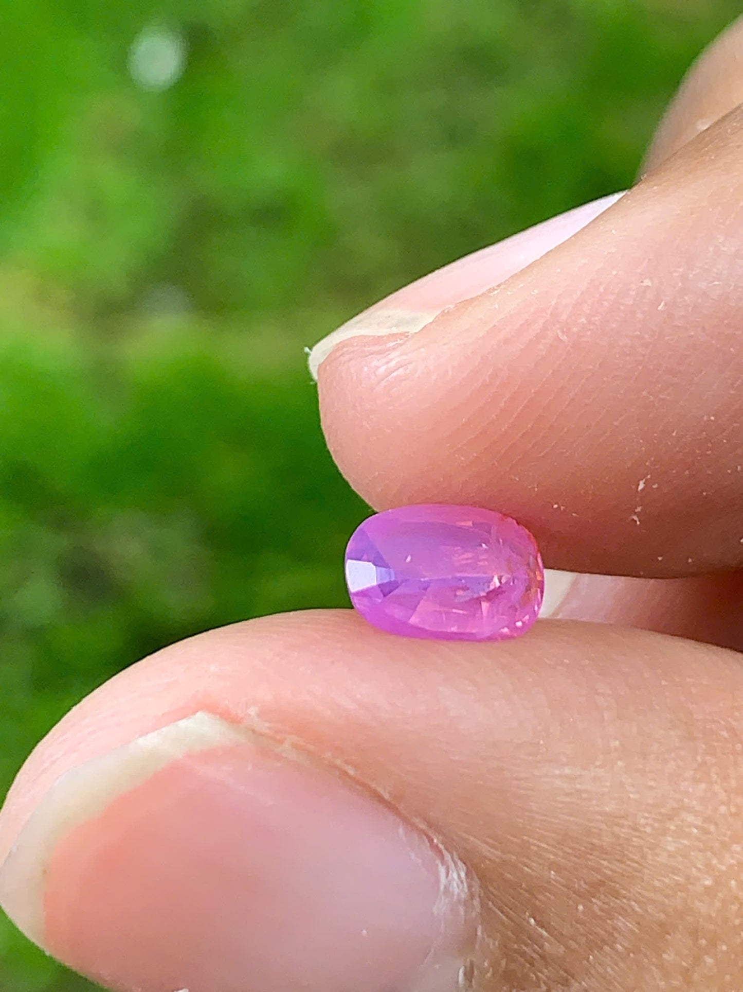 Natural Pink Sapphire LucYen _ 26082526