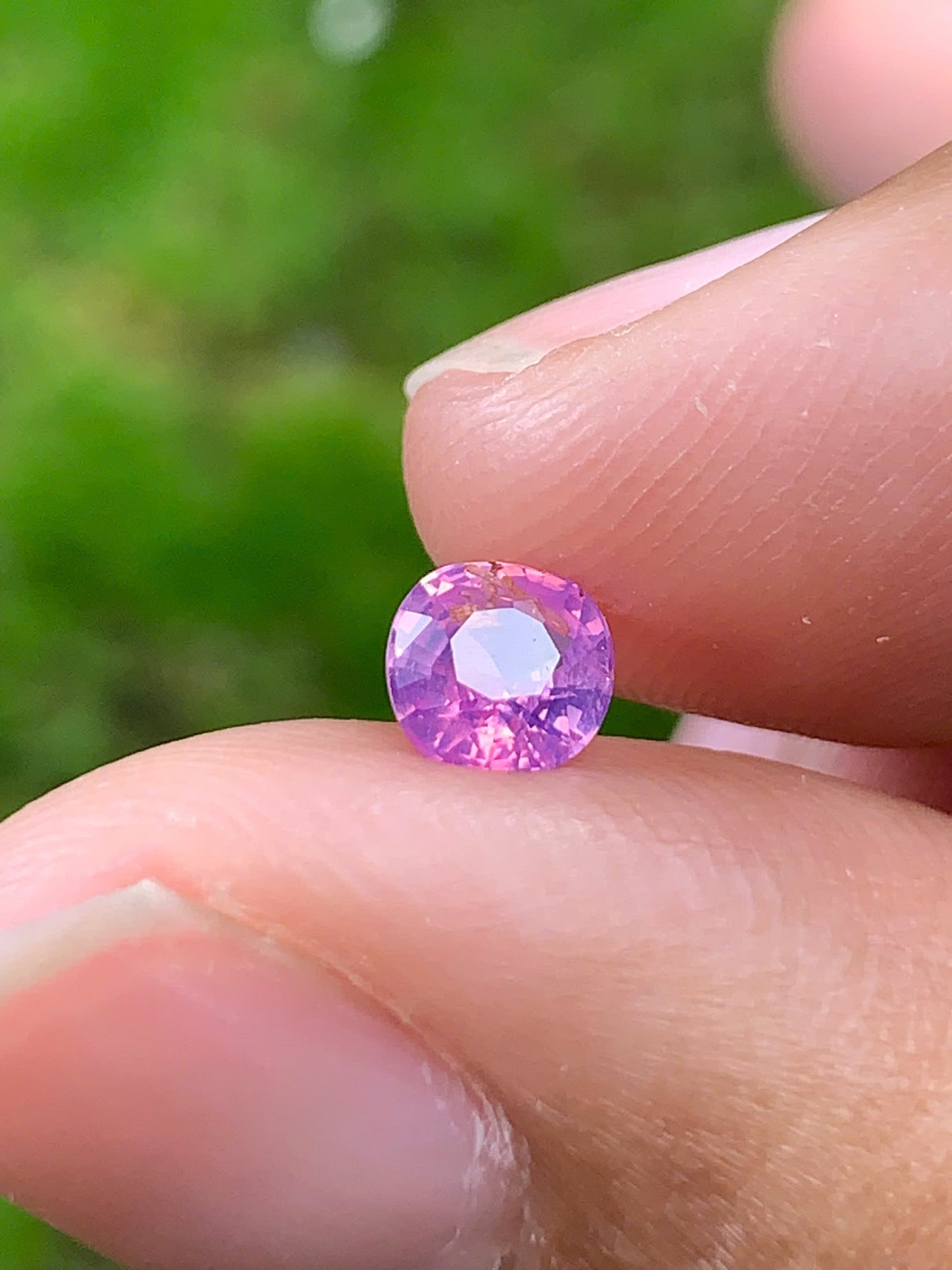 Natural Sapphire VietNam 28082534