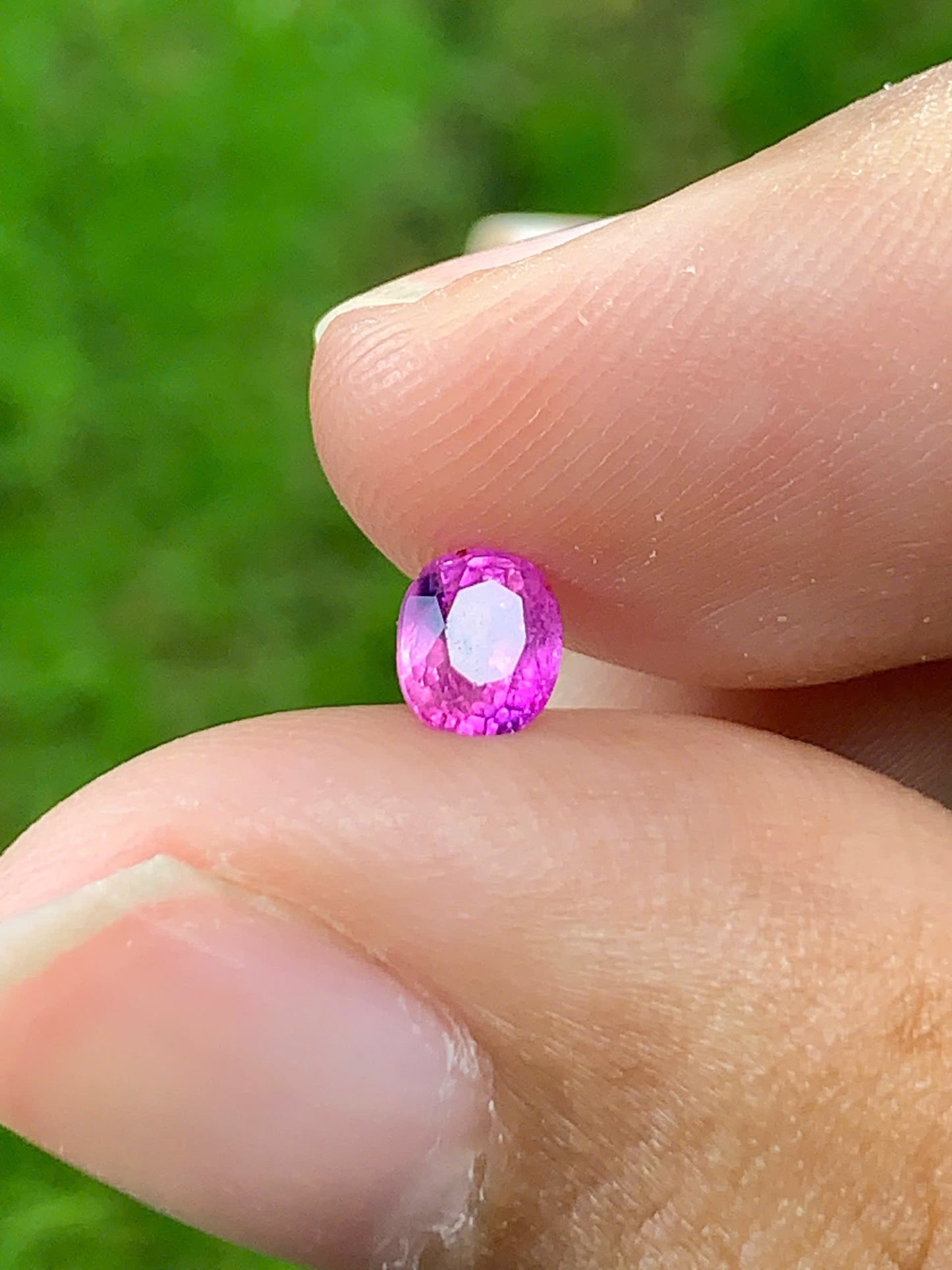 Natural Sapphire VietNam 28082535