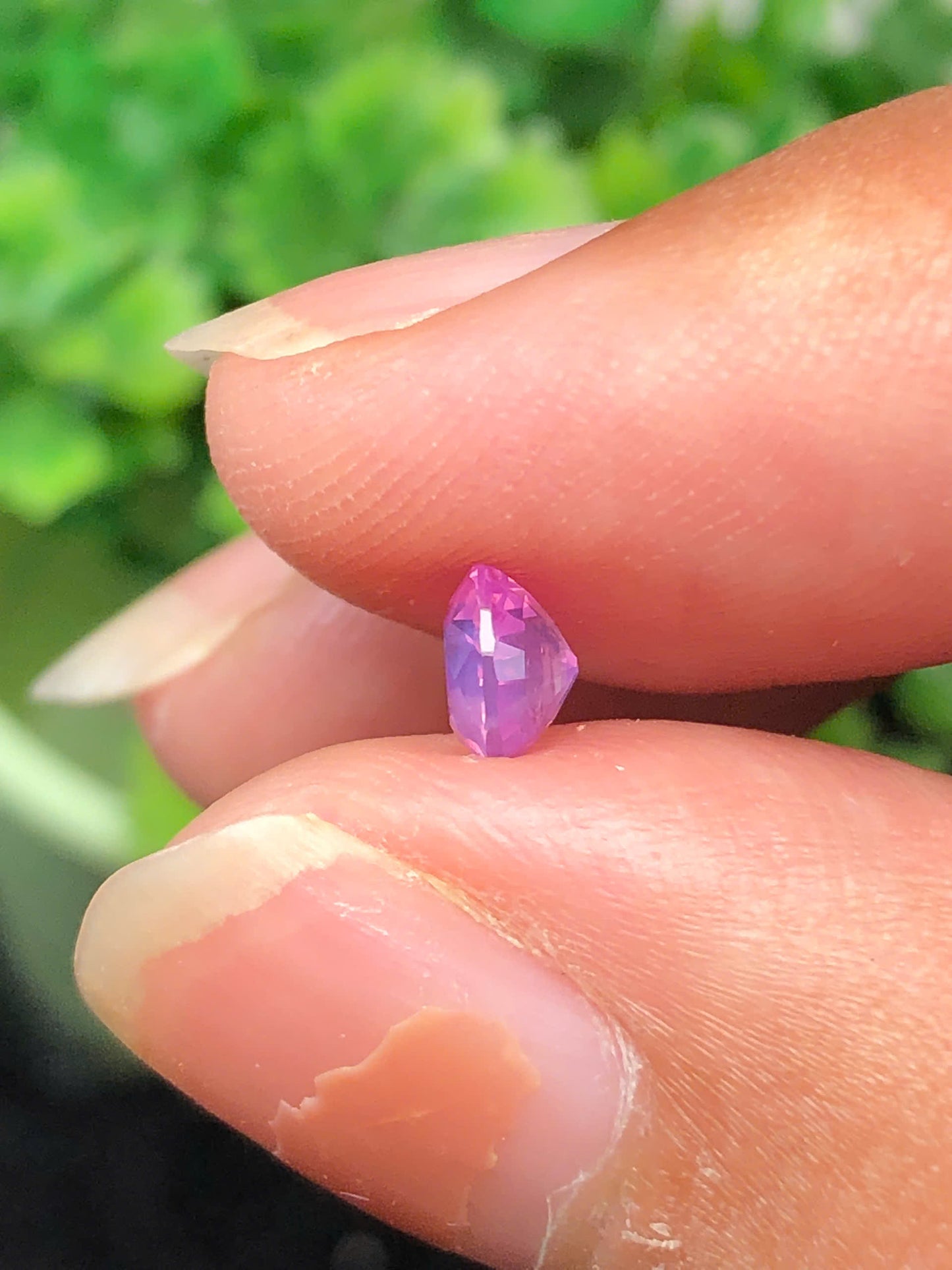 Pink silky sapphire LụcYên_06112507Ha