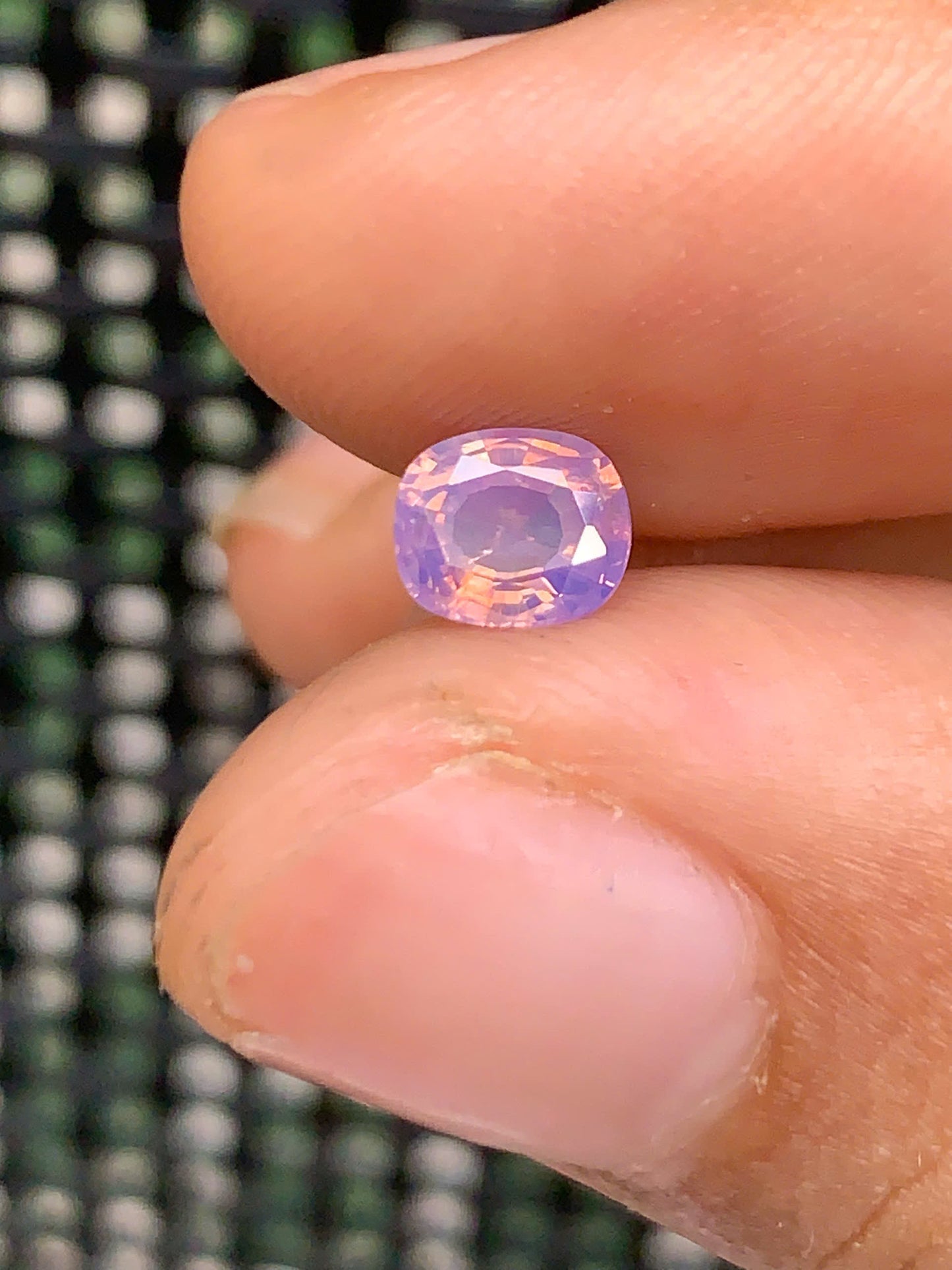 Lavender silky sapphire LụcYên_ 05072511