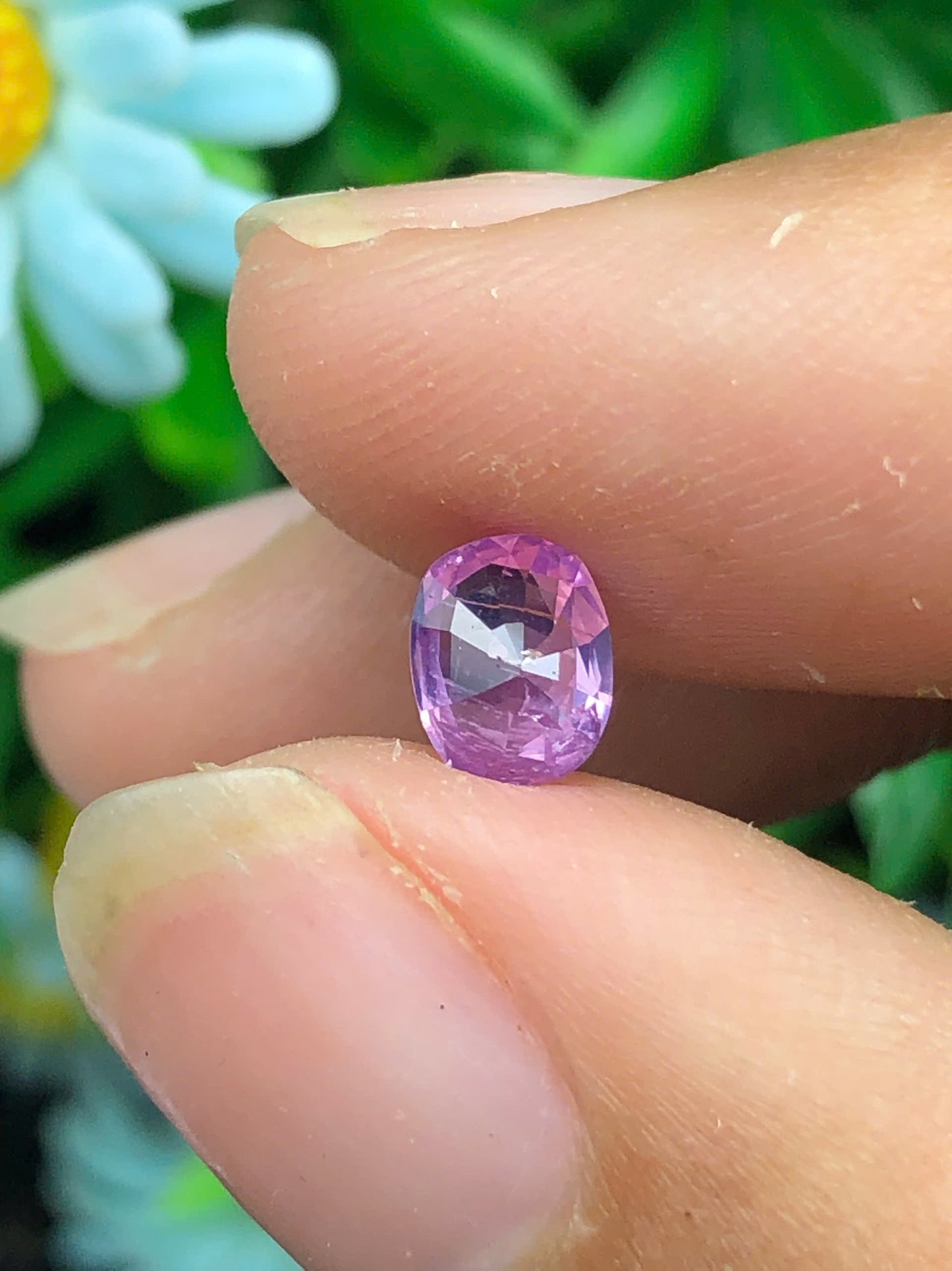 Purplish Pink Sapphire _ 06072502