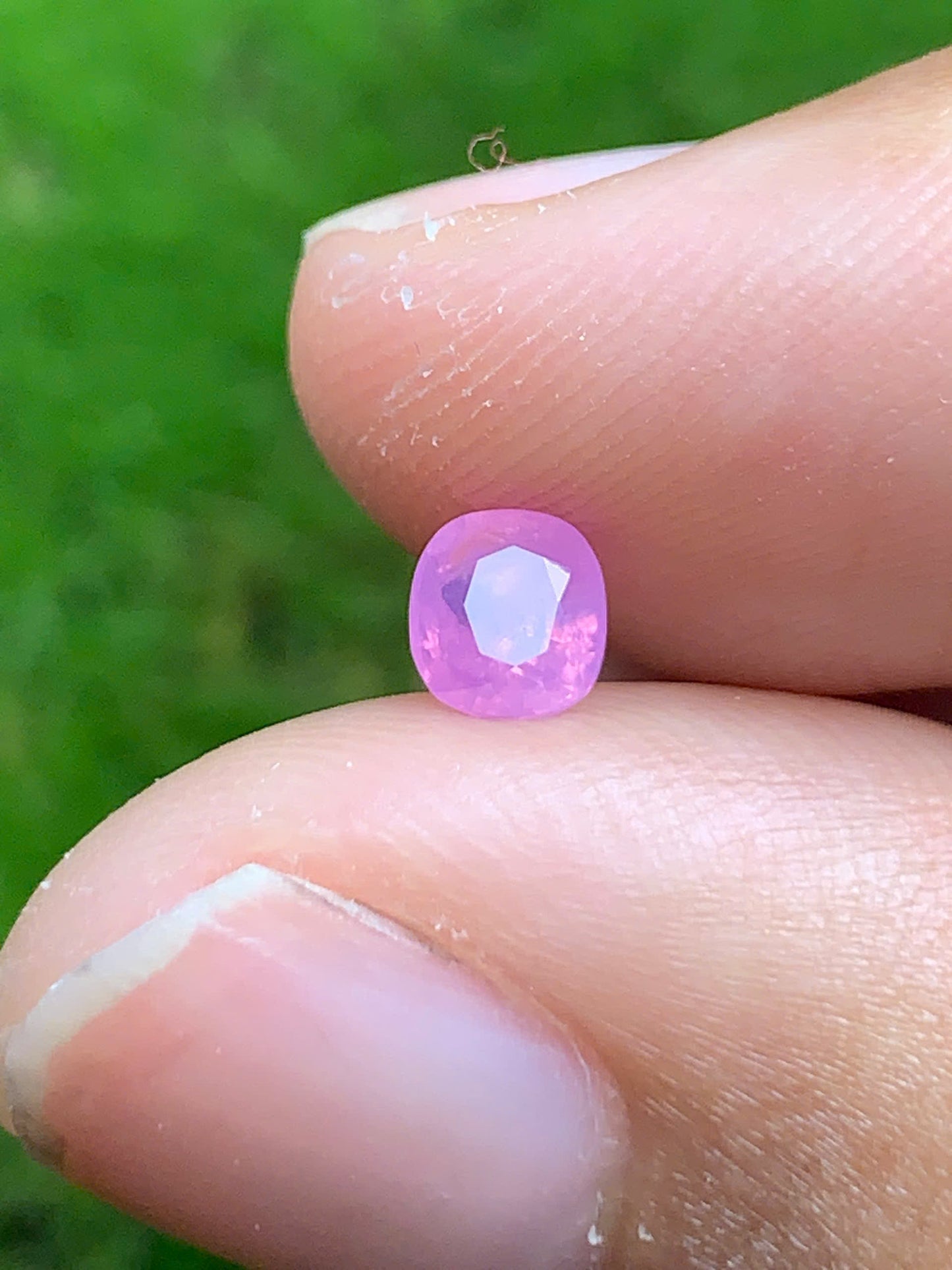 Natural pink sapphire _ 08082515