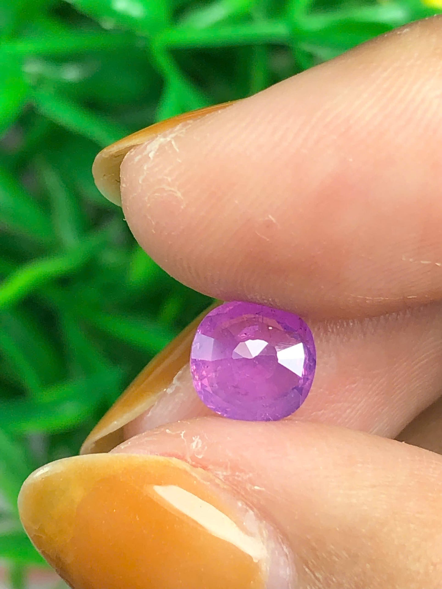 Natural purplish pink sapphire LụcYên 1.45ct_29032604HU