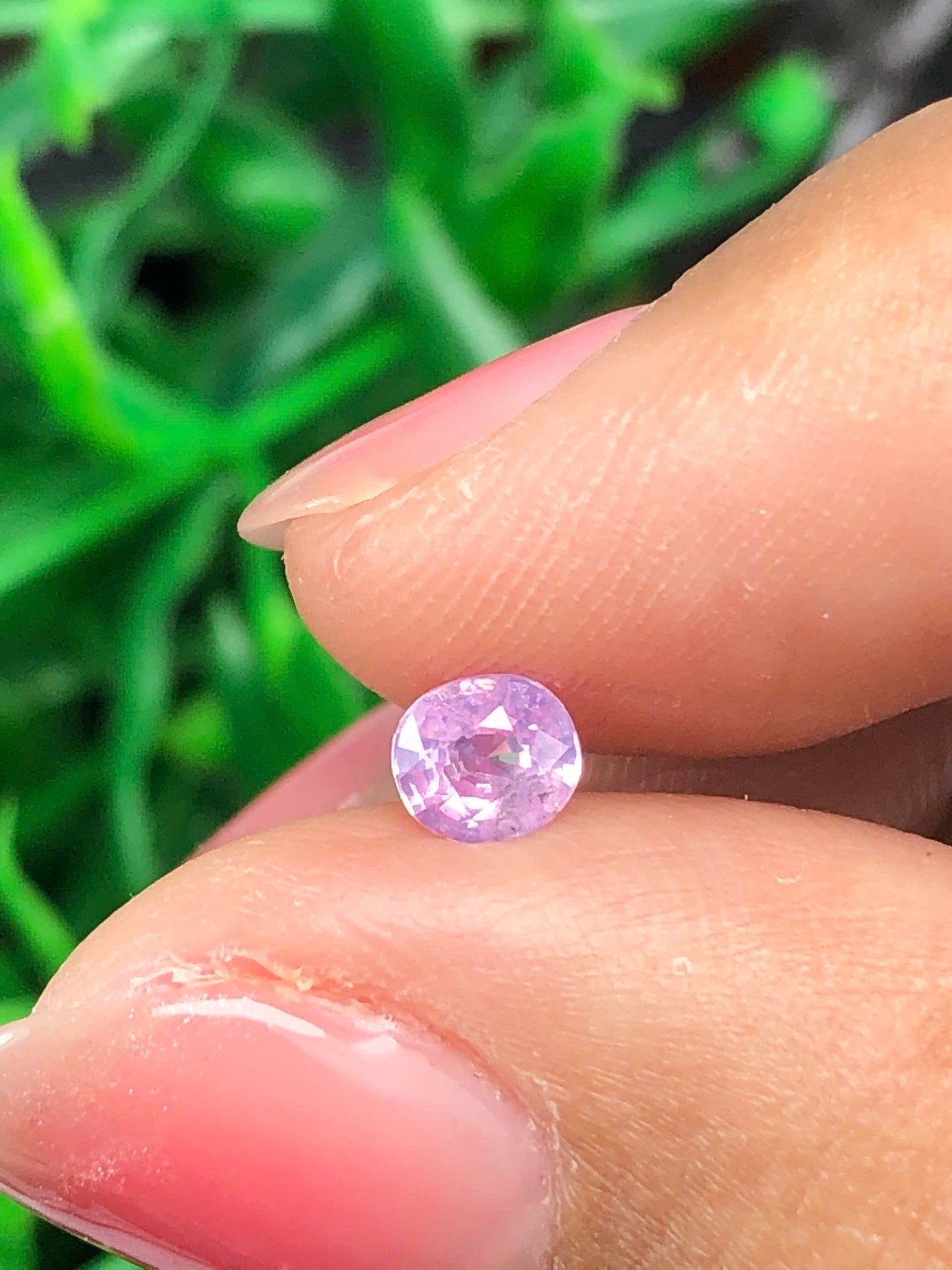 Natural light pink sapphire LụcYên 0.47ct_16022619HA