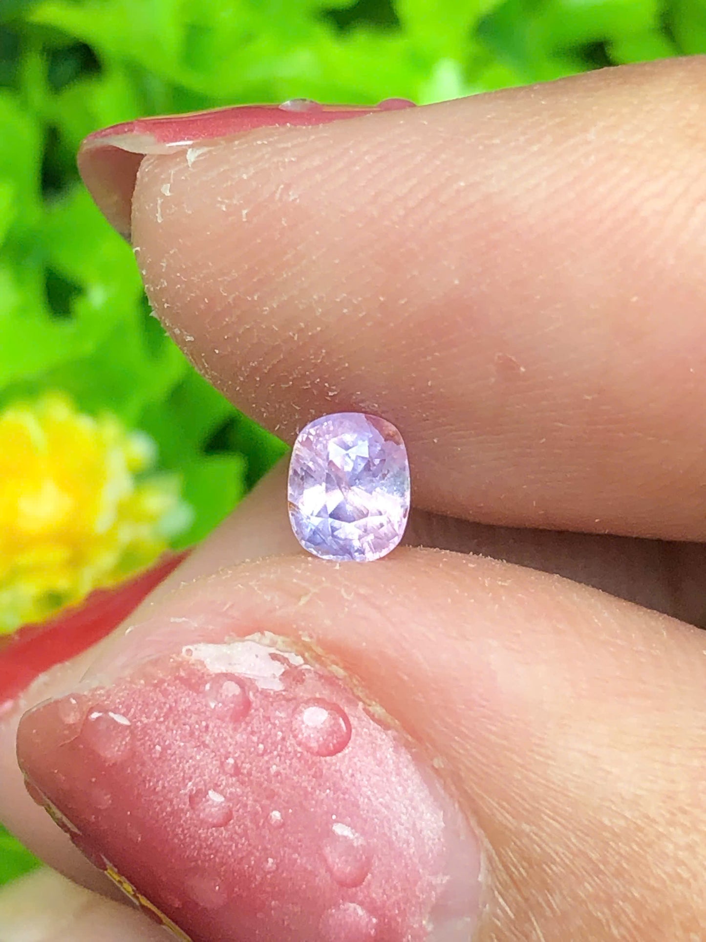 Natural silky Sapphire _ 11062628HU