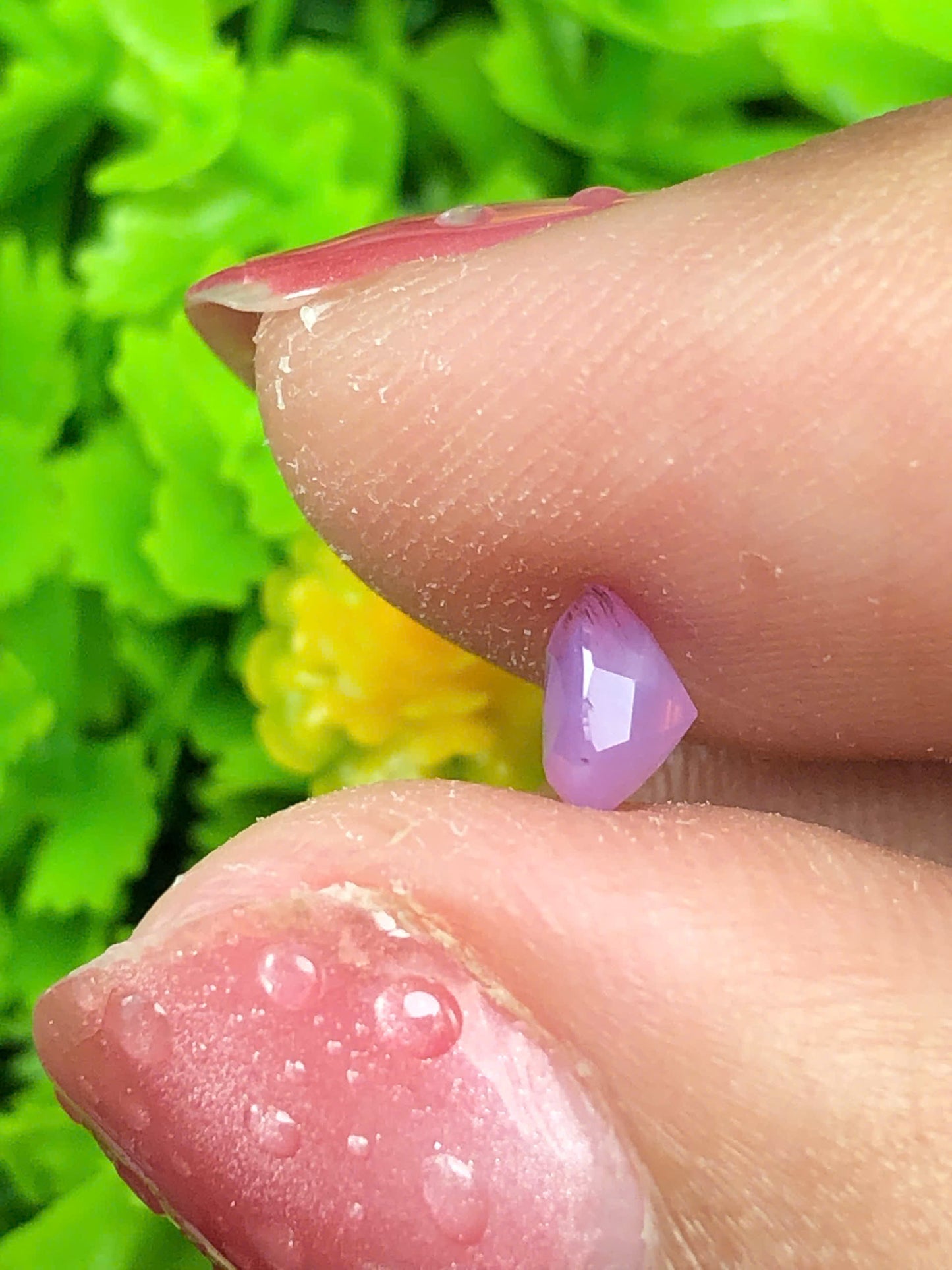 Pink silky sapphire_11062629HU