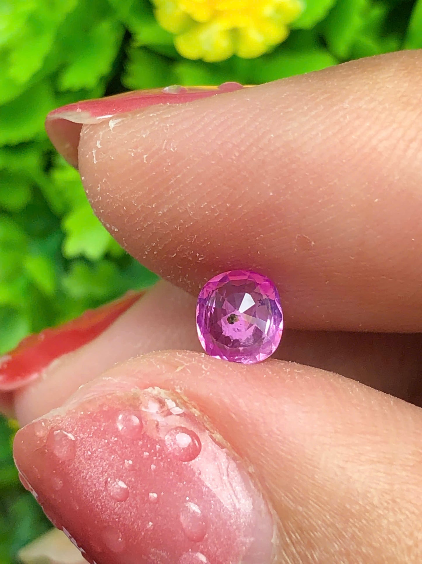 Hot Pink silky sapphire LụcYên_11062630HU