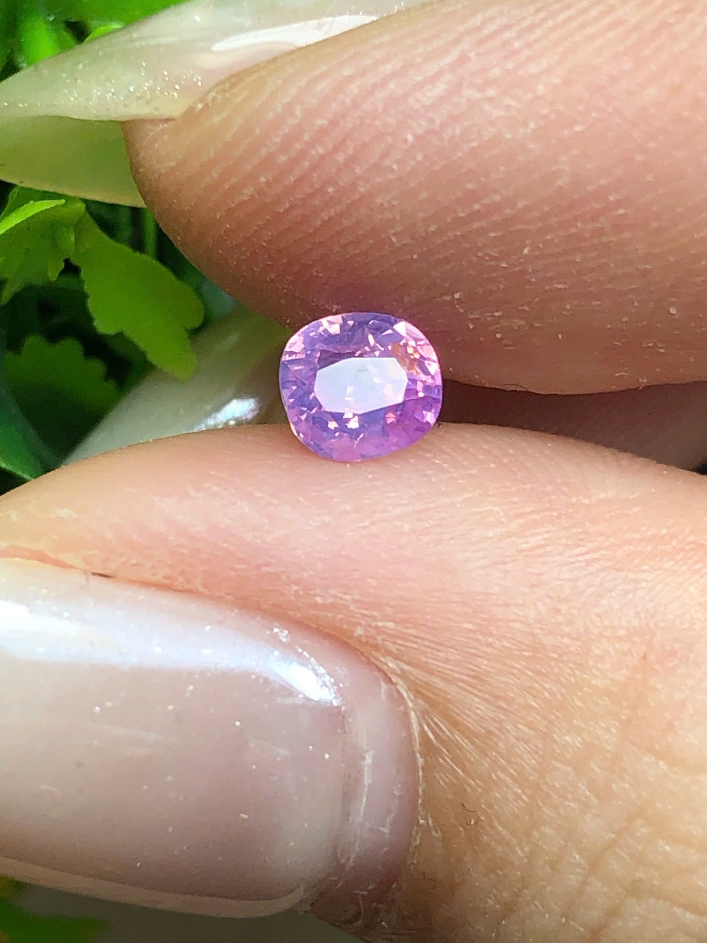 Natural Purple Pink Sapphire LucYen 0.5ct _ 03072636HA