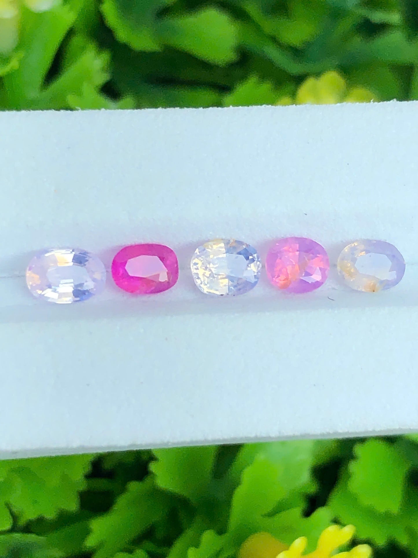 Natural set silky Sapphire LucYen 0.72ct/5pcs  _ 25072608HG