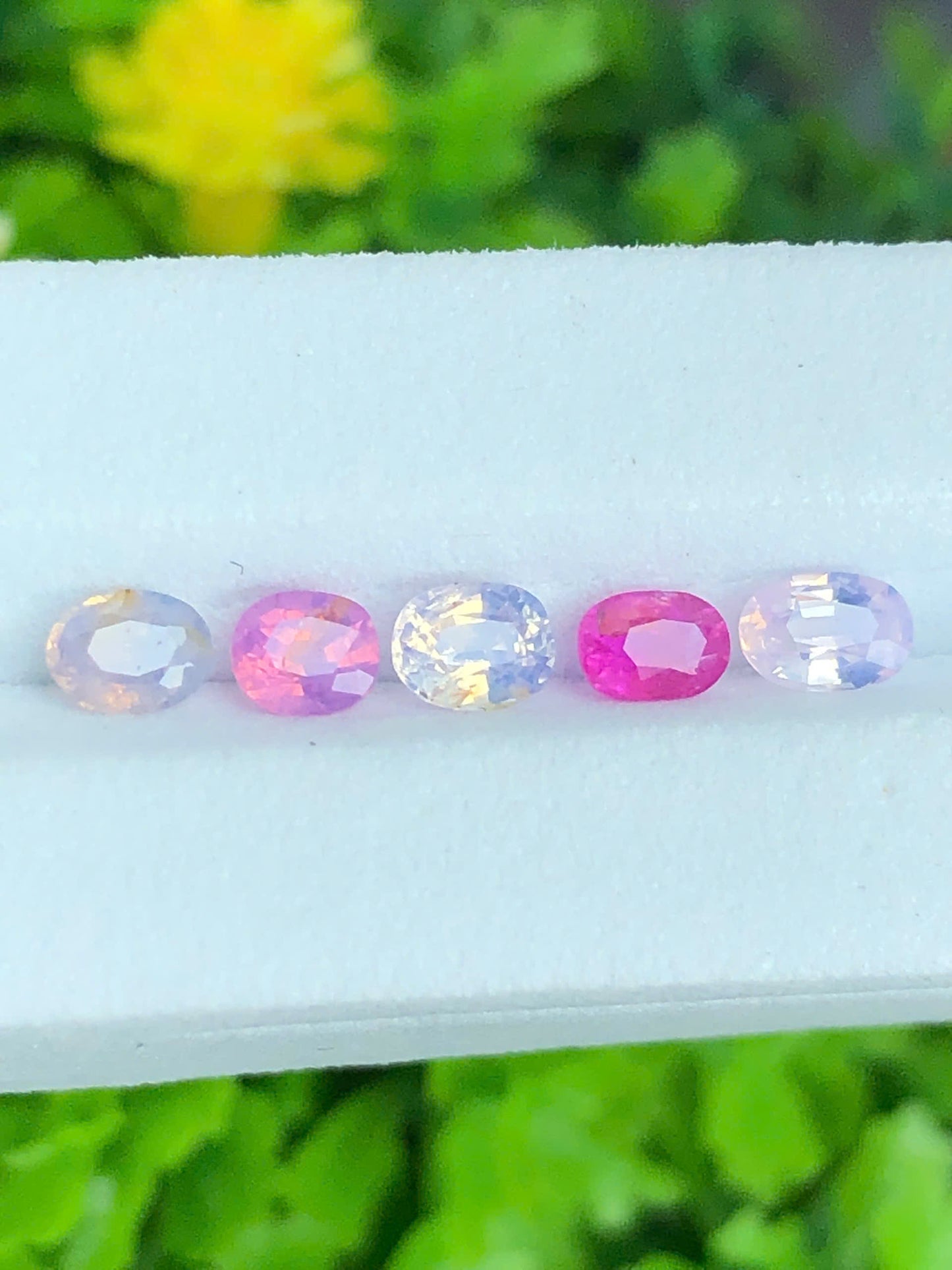 Natural set silky Sapphire LucYen 0.72ct/5pcs  _ 25072608HG