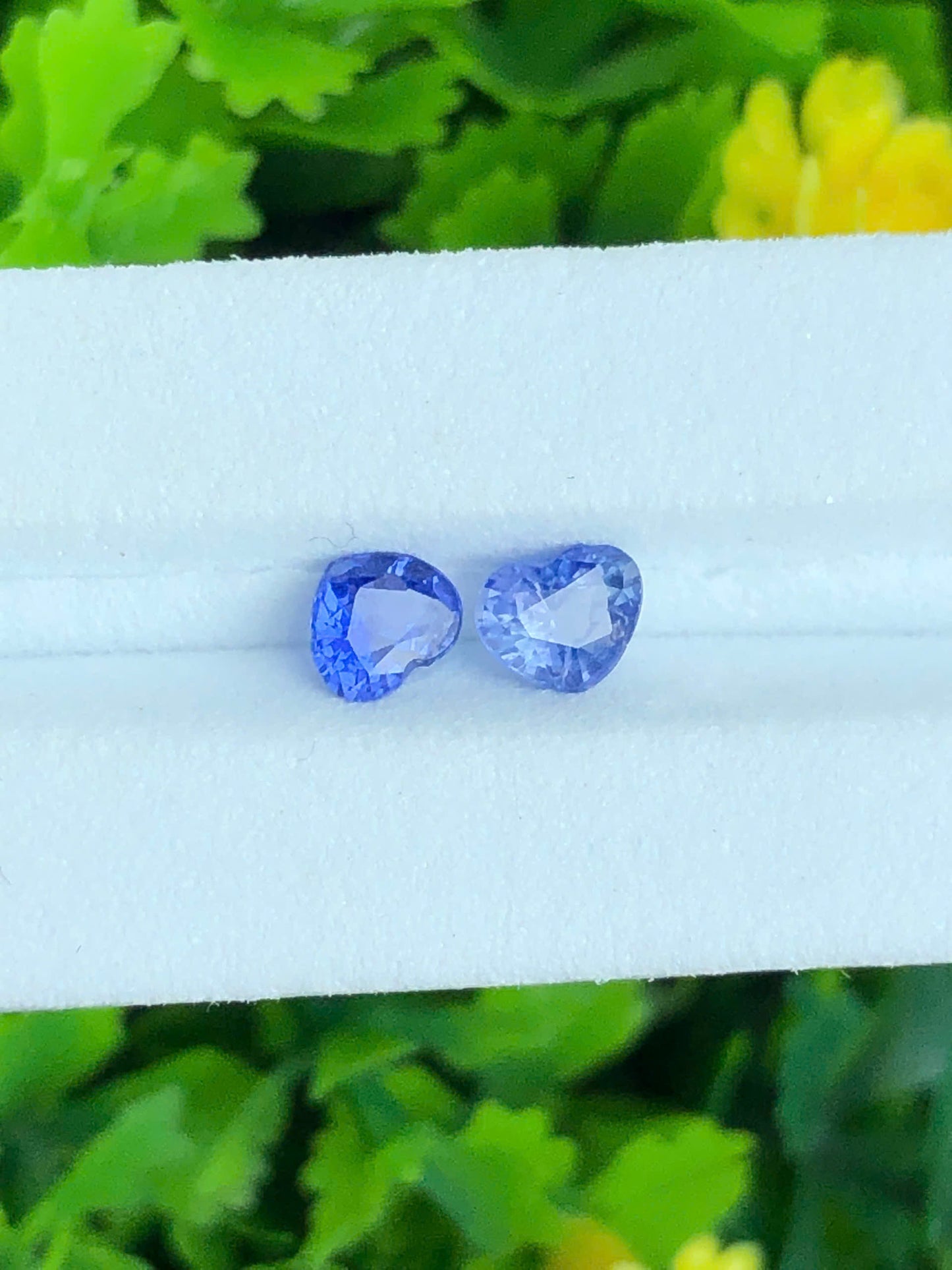 Natural set silky Sapphire LucYen 0.38ct/2pcs  _ 24072652HG