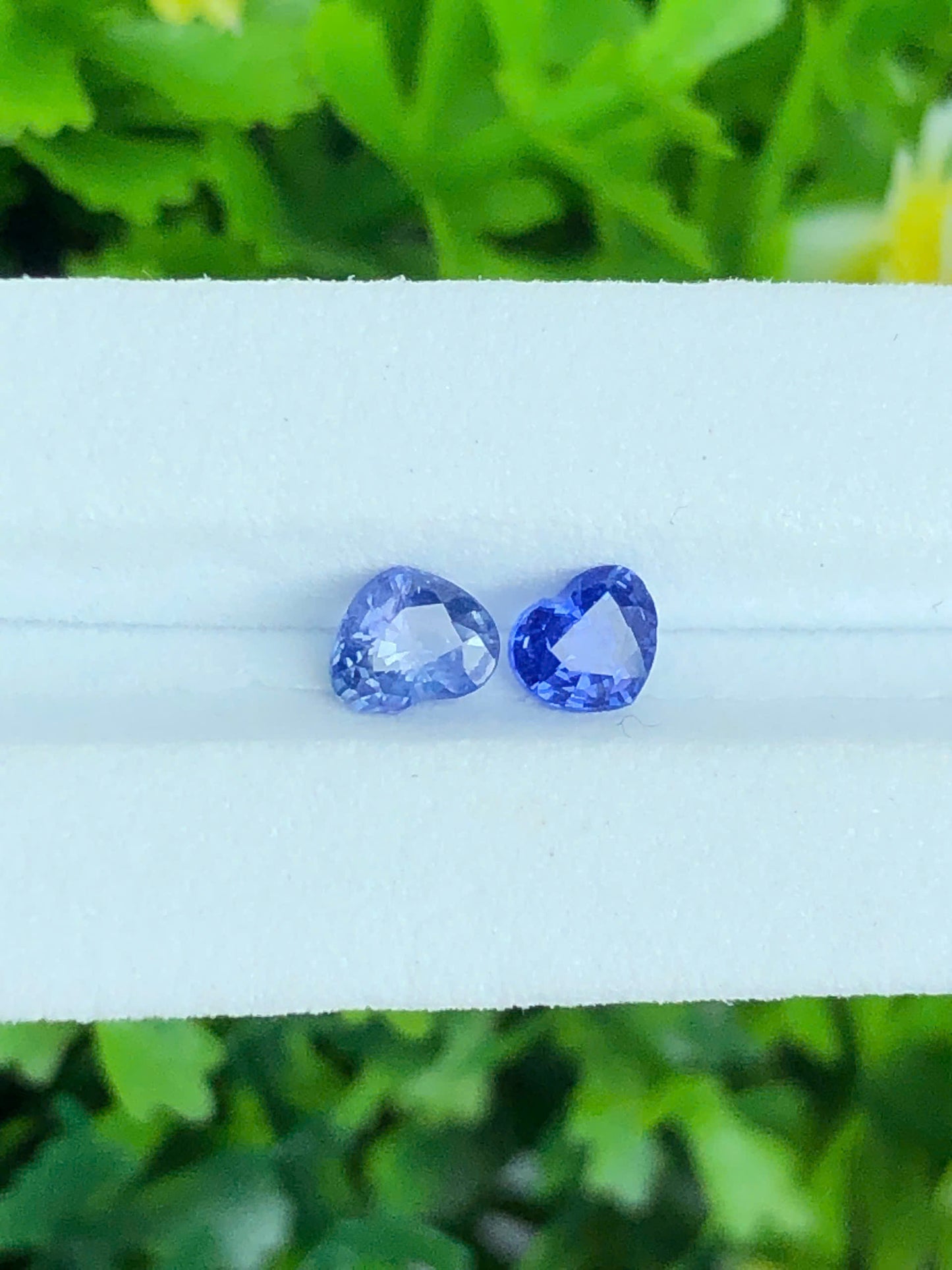 Natural set silky Sapphire LucYen 0.38ct/2pcs  _ 24072652HG