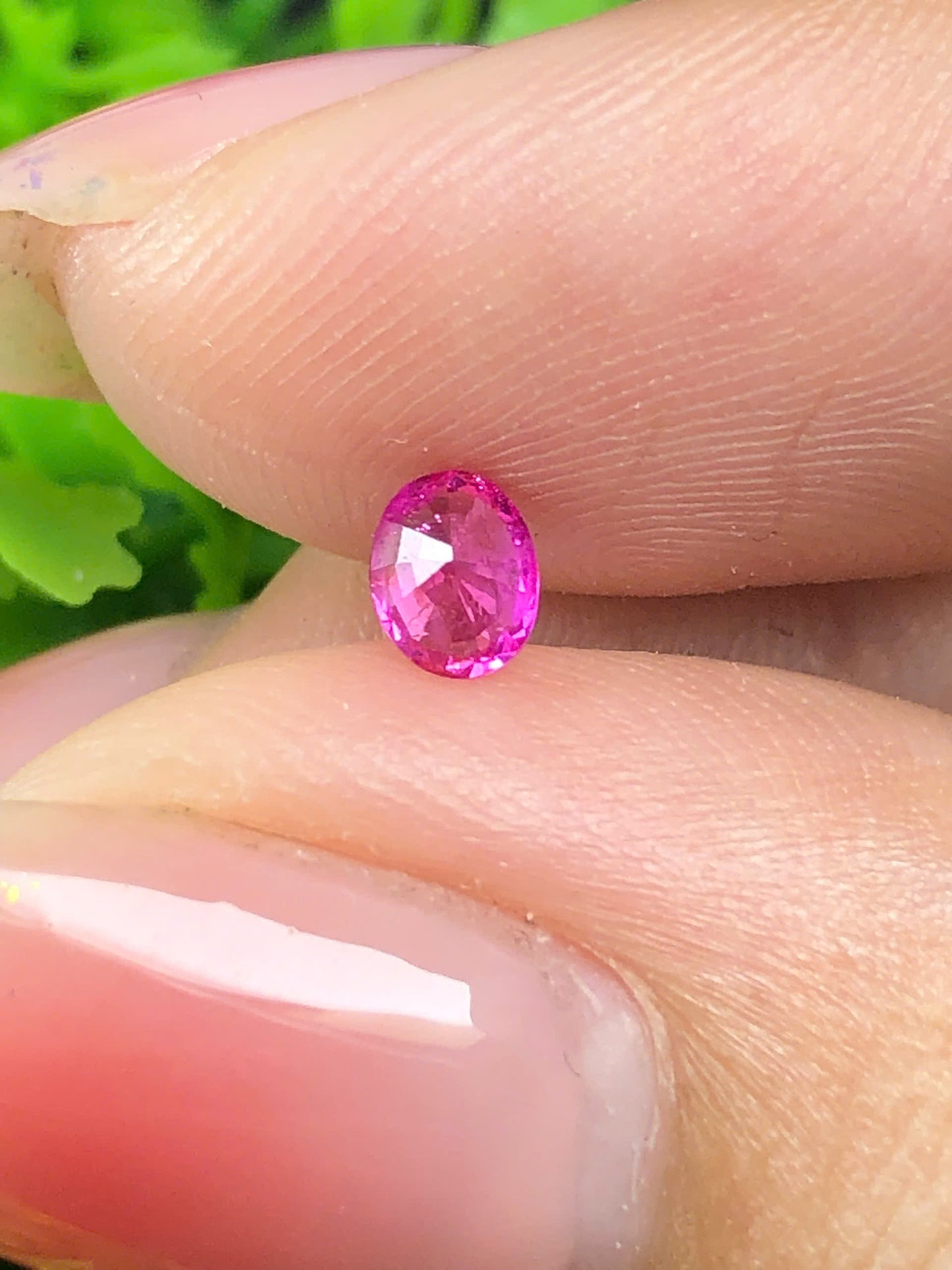 Hot Pink silky sapphire LụcYên_28072628HU