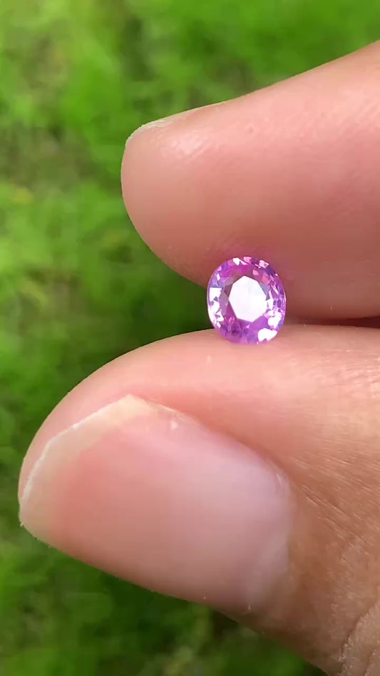 Natural Sapphire VietNam 26082503