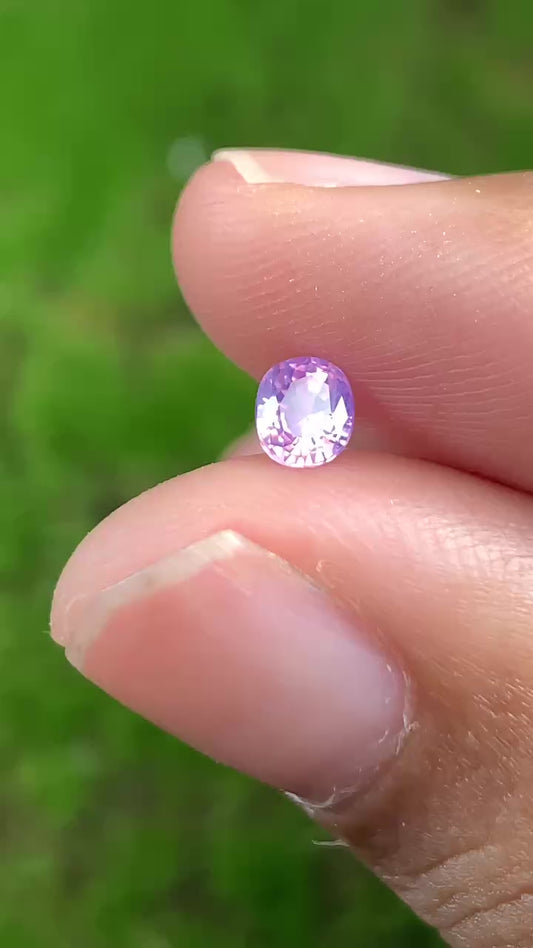 Silky Sapphire VietNam 18082506