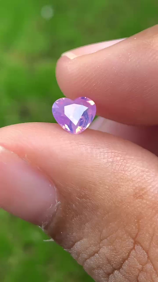 Silky Sapphire VietNam 18082507