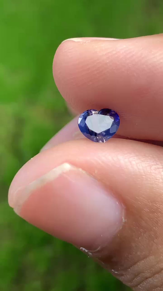 Blue Sapphire VietNam 18082516