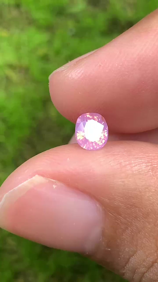 Natural Sapphire VietNam 26082505